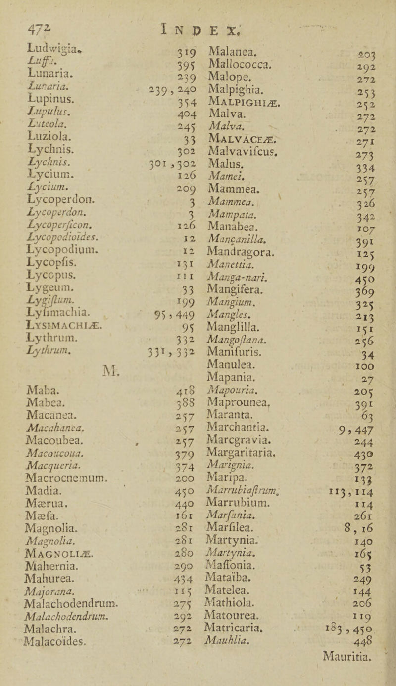 Ludwigia. Luff:. Lunaria. Lunaria. Lupinus. Lupulus. ZLteola. Luziola. Lychnis. Lychnis. Lycium. £ycium. Lycoperdon. Lycoperdon. Lycoperficon. Lycopodtoides. Lvcopodium. Lycopfis. Lycopus. . Lygeum. Lygiflum. Lnisschia. LYsIMACHLE. Lythrum. Lythrum, Maba. Mabea. Macanea. Macahanea. Macoubea. Macoucoua. Macquerta. Macrocnemum. Madia. Marua. : Mafa. Magnolia. Magnolia. MAGNOLLA. Mahernia. Mahurea. Majorana. Malachodendrum. Malachra. ^ Malacoides. 239 » 301; 95» 3315 319 395 239 240 354 404 245 33 302 402 der 209 3 3 126 Malanea. Mallococca. Malope. Malpighia. MarPiGnuur. Malva. Malva. MALVACEZE. Malvavifcus, Malus. Marnet. Mammea. Mammea. Mampata. Manabea. Mancanilla., Mandragora. Manettia. Manga-nari. Mangifera. Mangium. Mangles. Manglilla. Mangof[lana. Manifuris. Manulea. Mapania. Mapourta., Maprounea, Maranta. Marchantia. Marcgravia. Margaritaria. Marignia. Maripa. Marrubium. Mar[ania. Marfilea. Martynia. Martynia., Maffonia. Mataiba. Matelea. Mathiola. Matourea. Matricaria, Mauhlia. Mauritia.