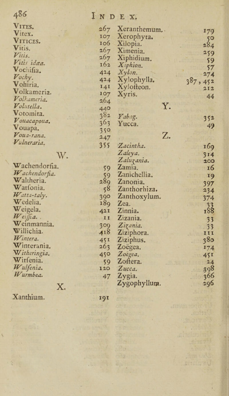 VITES. Vitex. VrTICES. Vitis. Fius. V. (772 idea. Vochifia. Vochy. Vohiria, Volkameria. Volkameria. Volutella. Votomita. V ouacapoua. Vouapa. Foua-rana. Vulneraria, W. Wachendorfia. JF achendorfia. WAaltheria. Watfíonia. W. atta-taly. W edelia. Weigela. V eilfra. . Weinmannia. Wllichia. JIVintera. Winterania. W itheringia. Witfenia. W^ulfenia. IV urmbea. ^. Xanthium. 267 Xeranthemum,. 107 Xerophyta. 106 Xilopia. 267 Ximenia. 267 Xiphidium. 162 Xiphion. 424 Xylon. 424 Xylophylla. 141 Xylofteon. 107 Xyris. 264 440 Y. 392 p abag. 363 Yucca. $o ed V. 355 Zacintha. Zaleya. Z aluzania. $9 Zamia. 39 Zanichellia. 299 Zanonia. $9 Zanthorhiza. 3990 Zanthoxylum. 189 Zea. 421 Ainnia. II JZizania. 309 JZigania. 418 Ziziphora. 451 AZiziphus. 265 Zo6gea. 450 Zoeégea. $9 AZofttera. 120 JZnucca. 47 4Zygia. Zygophyllum.