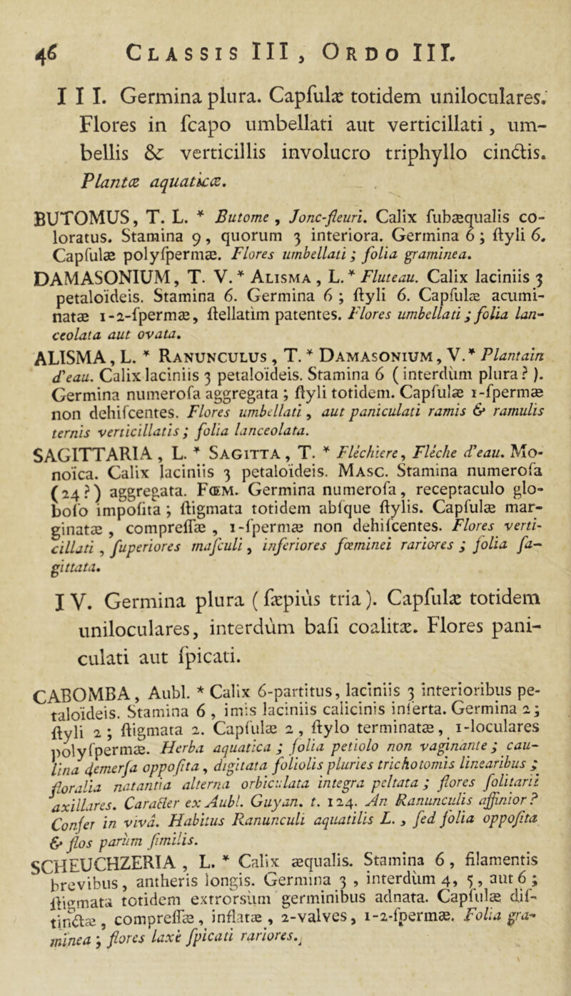 III. Germina plura. Capful^e totidem uniloculares. Flores in fcapo umbellati aut verticillati, um- bellis & verticillis involucro triphyllo cindis. Flanuz aquathccz, BUTOMUS, T. L. * Butome , Jonc-fleurL Calix fubsequalis co- loratus. Stamina 9, quorum 3 interiora. Germina 6; ftyli 6. Capfulae polyfpermse. Flores umbellati; folia ^amhiea, DAMASONIUM, T. V. Alisma , L. Fluteau. Calix laciniis 3 petaloideis. Stamina 6. Germina 6 ; ftyli 6. Capfulae acumi- natae i-2-fpermae, ftellatim patentes. Flores umbellati; folia lan^- ceolata aut ovata, ALISMA, L. ’ Ranunculus , T. * Damasonium , Plantam d'eau. Calix laciniis 3 petaloideis. Stamina 6 (interdum plura? ). Germina numerofa aggregata ; ftyli totidem. Capfulae i-fperm« non dehifcentes. Flores umbellati, aut paniculati ramis & ramulis ternis verticillatis; folia lanceolata. SAGITTARIA , L.f Sagitta , T.  Flechiere^ Fleche cCeau, Mo- noica. Calix laciniis 3 petaloideis. Masc. Stamina numerofa (24?) aggregata. Fcem. Germina numerofa, receptaculo glo- bofo impofita; ftigmata totidem ablque ftylis. CapfuljE mar- ginatae , compreflae , i-fpermaj non dehifcentes. Flores verti- cillati , fuperiores mafculi, inferiores fxminei rariores ; jolia fa- gittata. IV. Germina plura (fapius tria). Capfulae totidem uniloculares, interdum bafi coalitae. Flores pani- culati aut fpicati. CABOMBA, Aubl. * Calix 6-partitus, laciniis 3 interioribus pe- taloideis. Stamina 6 , imis laciniis calicinis inlerta. Germina 2; ftyli 2 ; ftigmata 2. Capiulae 2, ftylo terminatae, i-loculares polyfpermae. Herba aquatica ; folia petiolo non vaginante ; cau- lina demerja oppofita, digitata foliolis pluries tricho tornas linearibus ; {ioralia natantia alterna orbiculata integra peltata; flores foUtarii axillares, CaraHer ex Aubl. Giiyan. t. 124. An Ranunculis affinior? Confer in viva. Habitus Ranunculi aquatilis L. j fed folia oppofita & flos parum fimilis. SCHEUCHZERIA , L.  Calix aqualis. Stamina 6, filamentis brevibus, amheris longis. Germina 3 , interdum 4, 5 , aut 6 ; ftigmata totidem extrorsiim germinibus adnata. Capluls dil- tinto 5 compreflae, inflatae, 2-valves, 1-2-fpenn^. Folia gra-> minea ; flores laxe fpicati rariores..