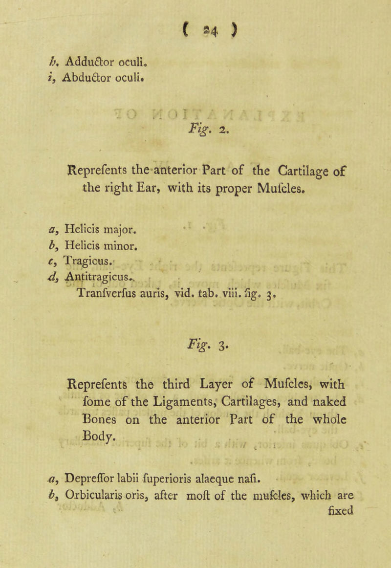 ( *4 ) h, Addu£tor oculi. i. Abductor oculi# :::)!• Fk- 2. Reprefents the-anterlor Part of the Cartilage of the right Ear, with its proper Mulcles, a, Hellcis major. *' * b, Helicis minor, c, Tragicus.' ' • Antitragicus.. r Tranfverfus auris, vid. tab. viii.iig, 3, Fig. 3- Reprefents the third Layer of Mufcles, with fome of the Ligaments, Cartilages, and naked Bones on the anterior Part of the whole Body. « a, Depreffor labil fuperioris alaeque nafi. b. Orbicularis oris, after mod of the mufcles, which are fixed