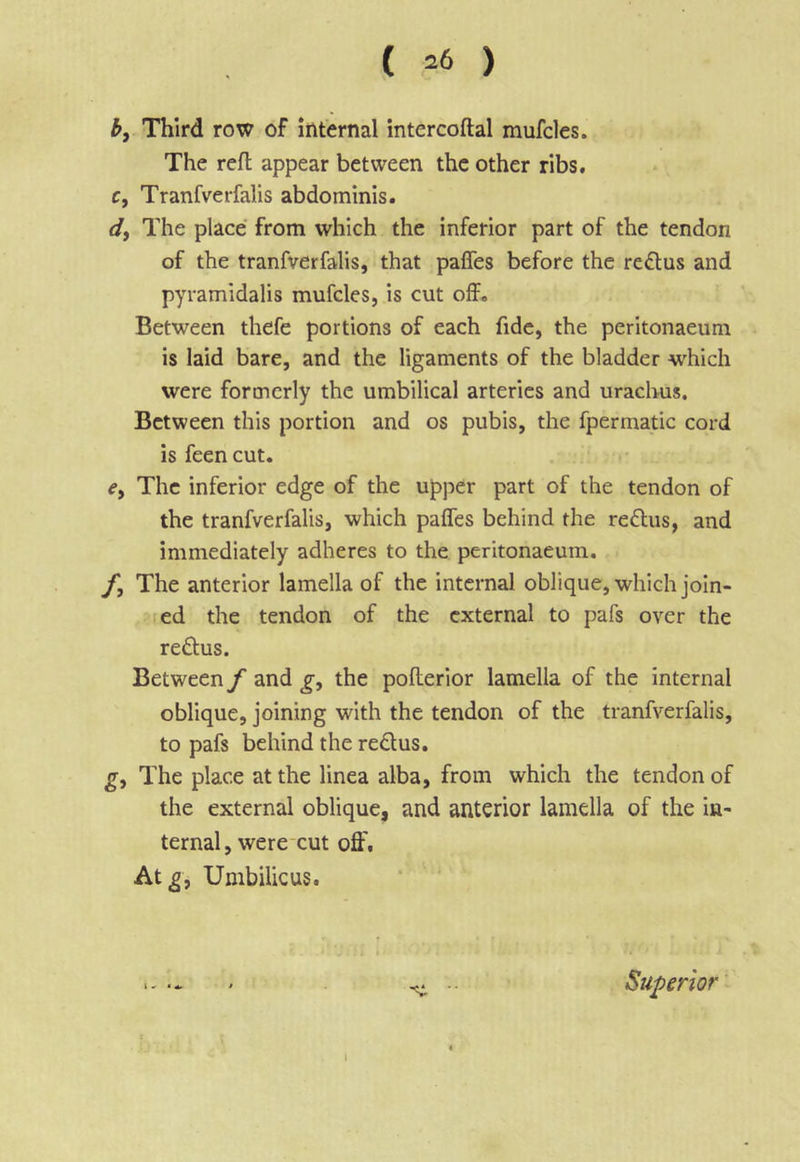 ( =6 ) bf Third row of internal intercoftal mufcles. The reft appear between the other ribs, r, Tranfverfalis abdominis. df The place from which the inferior part of the tendon of the tranfverfalis, that paffes before the reftus and pyramidalis mufcles, is cut off. Between thefe portions of each fide, the peritonaeum is laid bare, and the ligaments of the bladder which were formerly the umbilical arteries and uraclwis. Between this portion and os pubis, the fpermatic cord isfeencut. e. The inferior edge of the upper part of the tendon of the tranfverfalis, which paffes behind the reftus, and immediately adheres to the peritonaeum. f. The anterior lamella of the internal oblique, which join- ted the tendon of the external to pafs over the reftus. Between f and g, the pofterior lamella of the internal oblique, joining with the tendon of the tranfverfalis, to pafs behind the redus. g. The place at the linea alba, from which the tendon of the external oblique, and anterior lamella of the in- ternal, werecut off'. At^, Umbilicus. Superior \