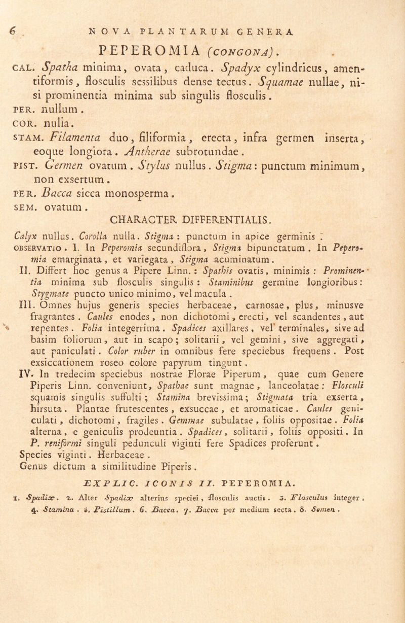 PEPEROMIA (congona) . CAL. Spatha minima, ovata, cacUica. Spadyx cylindricus, amen- tirormis, flosculis sessilibus dense tectus. Squamae nullae, ni- si prominentia minima sub singulis flosculis. TER, nullum. COR. nulla. STAM. Filamenta duo, filiformia, erecta, infra germen inserta, eoque longiora . Antherae subrotundae . PisT. Germen ovatum. Stylus nullus. Stigma', punctum minimum, non exsertum. PER. Bacca sicca monosperma. sEM. ovatum. CHARACTER DIFFERENTI ALIS. Calyx nullus. Corolla, nulla. Stigmat punctum in apice germinis T OBSERVATIO . 1. In Peperomio, secundiflara, Stigma bipunctatura . In Pepen» mia emarginata , et variegata, Stigma acuminatum. II. Differt hoc genus a Pipere Linn. : Spathis ovatis, minimis : Prominen- • tia minima sub flosculis singulis: Staminibus germine longioribus: Stfgmate puncto unico minimo, vel macula . III. O mnes hujus generis species herbaceae, carnosae, plus, minusve fragrantes. Caules enodes, non dichotomi, erecti, vel scandentes , aut \ repentes. Folia integerrima. Spadices axillares, vel* terminales, sive ad basim foliorum, aut in scapo; solitarii, vel gemini, sive aggregari, aut paniculati. Color ruher in omnibus fere speciebus frequens . Post exsiccationem roseo colore papyrum tingunt. IV* In tredecim speciebus nostrae Florae Piperum, quae cum Genere Piperis Linn. conveniunt. Spathae sunt magnae, lanceolatae : Flosculi squamis singulis suffulti; Stamina brevissima; Stigmata tria exserta, hirsuta. Plantae frutescentes, exsuccae , et aromaticae . Caules geni- culati, dichotomi, fragiles. Gemmae subulatae, foliis oppositae. Folia alterna, e geniculis prodeuntia. Spadices, solitarii, foliis oppositi. In P. reniformi singuli pedunculi viginti fere Spadices proferunt. Species viginti. Herbaceae . Genus dictum a similitudine Piperis. JlXFIuIC. ICONIS II. PEPEBOMIA. %, Sjpadicc. Alter Spaditx? alterius speciei, Bosculis auctis. 3. I^losctilus integer.