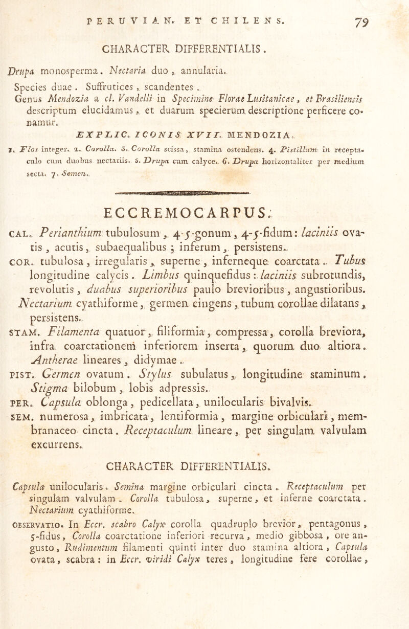 CHARACTER DIFFERENTIALIS. Drup^t moiiosperma. Nectaria. duo ^ annularia» Species duae . SufFrutices ,, scandentes . Genus Mendozia a cL Vandelli in Specimine^ Florae Lusitankae, et Brastlzensis descriptum elucidamus ^ et duarum specierum descriptione perficere co« namur» EXPIuIC. ICONIS: XVII\ MENDOZIA» I» integer, Corolla* 5*.Corolla scissa, stamina ostendens. 4. Pistillum in recepta® culo cum duobus nectariis. 5. Drii^a cum calyce». 6* Uru^a horizontali ter per medium secta. 7. Seuieii^. ECCREMOCARPUS: CAL. Periantkium tubulosum 4-j-gonum , j^-yddum: laciniis ova- tis , acutisj subaecjualibus; inferum,, persistens.. COR. tubulosa, irregularis, superne , inferneque. coaxetataTubus, longitudine calycis. Limbus quinquefidus •..laciniis subrotundis, revolutis , duabus superioribus paulo brevioribus , angustioribus. Nectarium. cyathiforme,, germen cingens, tubum corollae dilatans, persistens. STAM. Filamenta quatuorfiliformia , compressa, corolla breviora, infra coarctacionerri inferiorem insertaquorum duo altiora. Antherae lineares, didymae PIST. Germen ovatum. Stylus, subulatuslongitudine staminum. Stigma bilobum, lobis adpressis. PER. Capsula oblonga, pedicellataunilocularis bivalvis.. 5EM. numerosa, imbricata, lentiformia, margine orbiculari, mem- branaceo cincta, Receptaculum lineare, per singulam valvulam excurrens. CHARACTER DIFFERENTIALIS. Capsula uniloculcLTis.. Semina margine orbiculari cincta.. Receptaculum per singulam valvulam Corolla, tubulosa, superne, et inferne coarctaca. Nectarium cyathiforme. OBSERVATIO. In Eccr. scabro Calyx- corolla quadruplo brevior * pentagonus, 5-fidus, Corolla coarctatione inferiori-recurva, medio gibbosa, ore an- gusto, Rudimentum filamenti quinti inter duo stamina altiora. Capsula ovata, scabra : in Eccr. •viridi Calyx teres, longitudine fere corollae ,