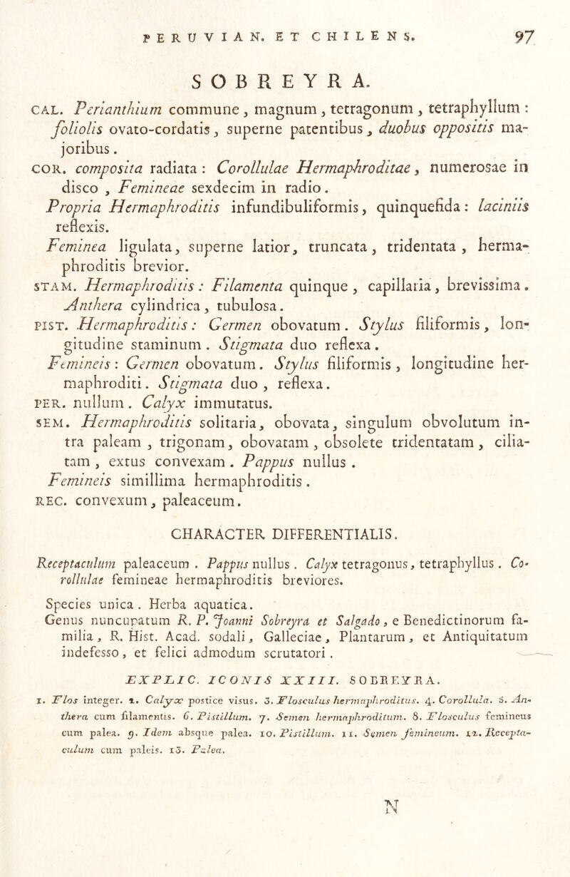 SOBREYRA. CAL. Pcrianthium commune, magnum, tetragonum, tetraphyllum : foliolis ovato-cordatis j superne p/atencibus, duobus oppositis ma- joribus . COR. composita radiata : Corollulae Hermaphroditae, numerosae in disco , Femineae sexdecim in radio. Propria Hermaphroditis infundibuliformis, quinquefida: laciniis reflexis. Feminea ligulata, superne latior, truncata, tridentata , herma- phroditis brevior. STAM, Hermaphroditis: Filamenta quinque, capillaria, brevissima. Anthera cylindrica, tubulosa. PIST. -Hermaphroditis: Germen obovatum. Stylus filiformis, lon- gitudine staminum. Stigmata duo reflexa. Femineis: Germen obovatum. Stylus filiformis, longitudine her- maphroditi . Stigmata duo , reflexa. PER. nullum. Calyx immutatus. SEM. Hermaphroditis solitaria, obovata, singulum obvolutum in- tra paleam , trigonam, obovatam , obsolete tridentatam , cilia- tam , extus convexam. Pappus nullus. Femineis simillima hermaphroditis. REC. convexum, paleaceum. CHARACTER DIFFERENTIATIS. Receptaculum paleaceum . Pappus nullus. Calyx tetragonus, tetraphyllus. Co- rollulae femineae hermaphroditis breviores. Species unica. Herba aquatica. Genus nuncupatum R.P.Joanni Sobreyra et , e Benedictinorum fa- milia, R. Hist. Acad. sodali, Galleciae, Plantarum, et Antiquitatum indefesso, et felici admodum scrutatori. EXPLIC. ICONIS XXIII. SOBEE^TRA. I. Flos integer, t. Calyce -postice visus. 3. Flosculus 7ier7iiaj)hroditus. Corollala. iS.x4.7i- thera cum filamentis. C. Fistillum, y. Seineii herinaplirodltimi. 8. Flosculus femineus cum palea. Idem aRsejue palea, io. Fistlllum. ii. S(i^ne7^ jemineum. liccepta-- culum cum paleis. i3. Falea, TST