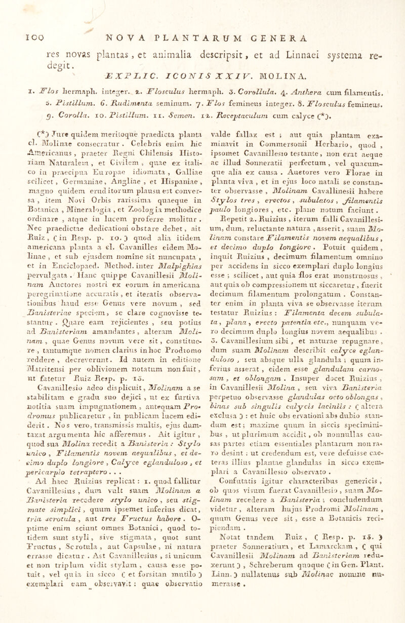 res novas plantas ^ et animalia descripsit, et ad Linnaei systema re- degit . EXFI.IC. ICONIS XXIV, MOLIN^L I. JTIqs liermapli. sl. Flosculus hermaplx. 3,Corellula, Aiithera cum filamentis. 6. Fistillum. 6. liudlnisntcL seminum. 'j.Flos femineus integer. 8. JT/ovfca/uvy feniineiis. Corolla, lo. jPlstHluni. ii. Scinen, iz. ^Gcej)taculuin cum calyce C*.) Jure quiJem meriioqiie praedicta planta cl. Molinae consecratur . Celebris enim hic Americanus , praeter Regni Cbilcnsis Histo- riam Naturalein , et Civilem , quae ex itali- co in praecipua Europae idioinata , Galliae scilicet, Germaniae, Angliae , et Hispaniae, magno quidem erud itor um plausu est conver- sa , item Novi Orbis rarissima quaeque in Botanica , Mtneralogia , et Zoologia methodice ordinare , atque in lucem proferre molitur . Nec praedictae dedicationi obstare debet, ait Piuiz , C in Besp. p. lO. 3 quod alia itidem ainericana planta a cl, Cavanilles eidem Mo- linae , et sub ejusdem nomine sit nuncupata , et in Enciclopaed. IMcthod. inter J^Ialjjlghias pervulgata . Ha,nc quippe Cavanillesii JMoll^ nam Auctores nostri ex eorum in ainericana peregrinatione accuratis , et iteratis observa- tionibus haud esse Genus vere novum , sed ISaiiisterlae speciem, se clare cognovisse te- stantur . ^iiare eam rejicientes , seu potius ad jBanlsterlam amandantes , alteram ^loli^ nam , quae Genus novum vere sit , constitue- re , tantumque nomen clarius in hoc Prodromo reddere , decreverunt. Id autem in editione Matritensi per oblivionem notatum non fuit, ut fatetur Pniiz Piesp. p. lo. Cavanillesio adeo dis plicuit, AfoZbmin a se stabilitam e gradu suo dejici , ut ex furtiva notitia suam impugnationem , antequam Z^ro- clrojnus publicaretur , in publicam lucem edi- derit . Nos vero, transmissis multis, ejus dum- taxat argumenta hic afferemus . Ait igitur , quod sua IMollna recedit a llanlsterla : Stylo unico. Filamentis novem aequaliius , ct de- ^imo duplo longiore , Calyce e glanduloso 3 ct perlcarplo tetrajjtero , , , Ad haec Puizins replicat: i. quod fallitur Cavanillesius , dum vult suam JMolinam a Jianlsterla recedere stylo unico , seu stig- mate simplici i quum ipsemet inferius dicat, tria, scrotula , aut tres Fructus hahore , 0- piiine enim sciunt omnes Botanici, quod to- tidem sunt styli, sive stigmata, quot sunt Eructus, Scrotula, aut Capsulae, ni natura errasse dicatur . Ast Cavanillesius , si unicum et non triplum vidit styltim , causa esse po- tuit , vel quia in sicco C et forsitan mutilo 3 exemplari eam obsciY«vyit : quae obscryatio valde fallax est ; aut quia plantam exa- minavit in Commersonii Herbario, quod , ipsomet Cavanillesio testante, non erat aeque ac illud Sonneratii perfectum, vel quacum- que alia ex causa . Auetores vero Florae in planta viva , et in ejus loco natali se constan- ter observasse , JMolinam Cavallinesii habere Stylos tres , erectos , suiulatos , Jzlamentls paulo longiores , etc. plane notum faciunt . Repetit %, Ruizius , iterum falli Cavanillesi- um, dum, reluctante natura , asserit, suam Hio- linam constare Filamentis novem aequalihus , et decimo duplo lo7igiQrc , Potuit quidem, inquit Ruizius , decimum hlamenlum omnino per accidens in sicco exemplari duplo longius esse scilicet, aut quia flos erat monstruosus , aut quia ob compressionem ut siccaretur , fuerit decimum filamentum prolongatum . Constan- ter enim in planta viva se observasse iterum testatur Ruizius : Filamenta decem subula- ta, plana y erecto patentia etc,, nunquam ve- ro decimum duplo longius noveni aequalibus . o. Cavanillesiiini sibi , et naturae repugnare, dum suam J^lolinajii describit calyce e glan- duloso j seu absque ulla glandula ; quum in- ferius asserat , eidem esse glandulam carno- sam , et oblongam , Insuper docet Ruizius , in Cavanillesii JMolina , seu viva Fanisteria perpetuo observasse glandulas octo oblongas , binas sub singulis calycis laciniis : f altera eXclusa 3 • et huic obs ervationi abs dubio stan- dum est; maxime quum in siccis specimini- bus , ut plurimum accidit , ob nonnullas cau- sas partes etiam essentiales plantarum 11011 ra- ro desint ; ut credendum est, vere defuisse cae- teras illius plantae glandulas in sicco exem- plari a Cavanillesio observato . Confutatis igitur characteribus generlcis , ob cjiios visum fuerat Cavanillesio , suam iUo- laiam recedere a Fanisteria ; concludendum videtur , alteram liujus Prodromi JMolinam , quum Genus vere sit , esse a Botanicis reci- piendam . Notat tandem Ruiz , C Resp. p. iS. 3 praeter Sonneratiur.i, et Lamarckam , C Cavanillesii JMolinam ad Faiiistcriam redu- xerunt 3 , Sclircberuni quoque C in Geii. Piant. Liiin. 3 nullatenus sub Molmac iionune nii*^ moras se •