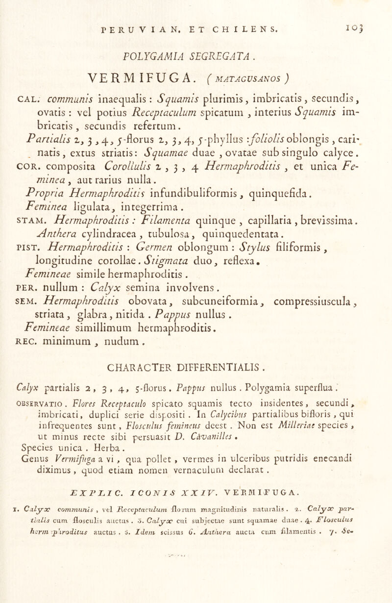 POLYGAMIA SEGREGATA . VERM IFUGA. ( MATAGUSANOS ) CAL; communis inaequalis: Squamis plurimis, imbricatis, secundis, ovatis : vel potius Receptaculum spicatum , interius Squamis im- bricatis , secundis refertum. Partialis z, 3,4, j-florus z, 3,4, j-pbyllus oblongis , cari- natis, extus striatis: Squamae duae , ovatae sub singulo calyce. COR. composita CoroliuUs z , 3 , 4 Hermaphroditis , et unica Fe- minea ^ aut rarius nulla. Propria Hermaphroditis infundibuliformis, quinquefida. Feminea ligulata, integerrima. STAM. Hermaphroditis : Filamenta quinque , capillaria , brevissima. Anthera cylindracea , tubulosa, quinquedentata. PisT. Hermaphroditis : Germen oblongum : Stylus filiformis, longitudine coxoW^^q . Stigmata duo, reflexa. Femineae simile hermaphroditis , PER. nullum : Calyx semina involvens. SEM. Hermaphroditis obovata, subcuneiformia, compressiuscula, striata , glabra, nitida . Pappus nullus . Femineae simillimum hermaphroditis. REC. minimum , nudum . CHARACTER DIFFERENTIALIS . Calyx partialis 2, 3, 4, j*florus • Pappus nullus . Polygamia superflua OBSERVATIO. Flores Receptaculo spicato squamis tecto insidentes, secundi ^ imbricati, duplici serie dispositi, la Calycibus partialibus bifloris , qui infrequentes sunt , Flosculus femineus deest . Non est Milleriae species , ut minus recte sibi persuasit D. Cdvanilles • Species unica. Herba. Genus Vermifuga a vi , qua pollet , vermes in ulceribus putridis enecandi diximus, quod etiam nomen vernaculum declarat . EXFIuIC. ICONIS XXIV. VERMI FUGA. I, Ccilyoc coimnunls , vel HccejAciculum floxumL magnituduns naturalis . a. Calyoc qpar- thiLls cum flosculis auctus . o. Calyoc cui subjectae sunt scjuamae duae . 4* VLoscuLus hcrJJi tjFir oditus auctas. 0. Idem scissus 0. Anthera aucta cnin filamentis . y. aSc-