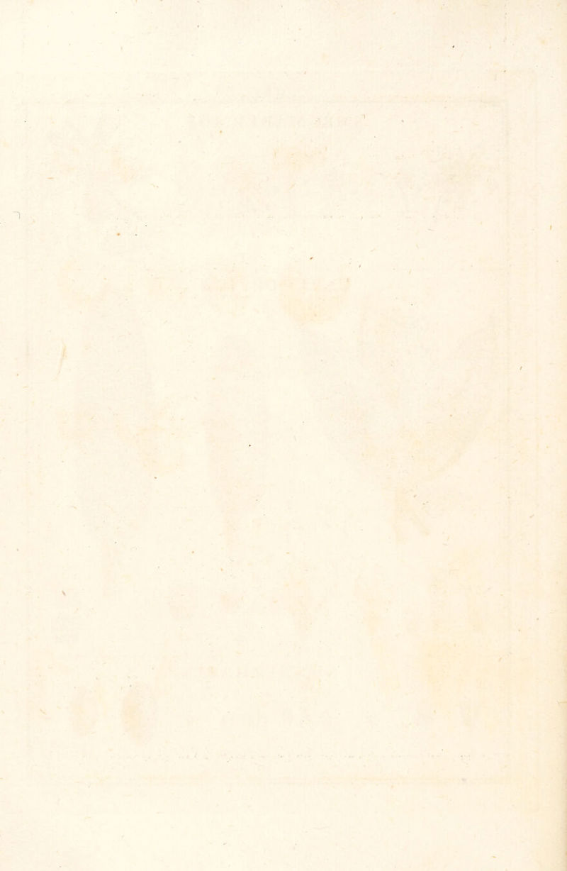 \ /• j / ( ■f ^ ■' -I' t ■ -\ ■ ; .