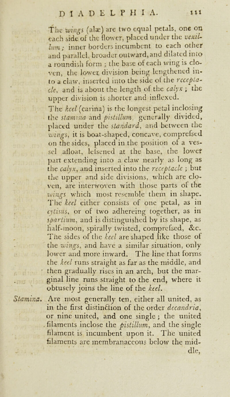 The wings (alae) are two equal petals, one on each side of the flower, placed under the vexil- hm; inner borders incumbent to each other and parallel, broader outward, and dilated into a roundish form ; the base of each wing is clo- ven, the lower, division being lengthened in- to a claw, inserted into the side of the recepta- cle, and is about the length of the calyx ; the upper division is shorter and indexed. The ked (carina) is the longest petal inclosing the stamina and pistillum, generally divided, placed under the standard, and between the wings, it is boat-shaped, concave, comprefsed on the sides, placed in the position of a ves- sel afloat, lelsened at the base, the lower part extending into a claw nearly as long as the calyx, and inserted into the receptacle ; but the upper and side divisions, which are clo- ven, are interwoven with those parts of the wings which most resemble them in shape. The keel either consists of one petal, as in cytisus, or of two adhereing together, as in spdrtium, and is distinguished by its shape, as half-moon, spirally twisted, comprefsed, 8cc. The sides of the keel are shaped like those of the wings, and have a similar situation, only lower and more inward. The line that forms the keel runs straight as far as the middle, and ■ then gradually rises in an arch, but the mar- ginal line runs straight to the end, where it obtusely joins the line of the keel. Stamina, Are most generally ten, either all united, as in the first distinction of the order decandria, or nine united, and one single ; the united . filaments inclose the pistillum, and the single filament is incumbent upon it. The united filaments are membranaceous below the mid- - * die,