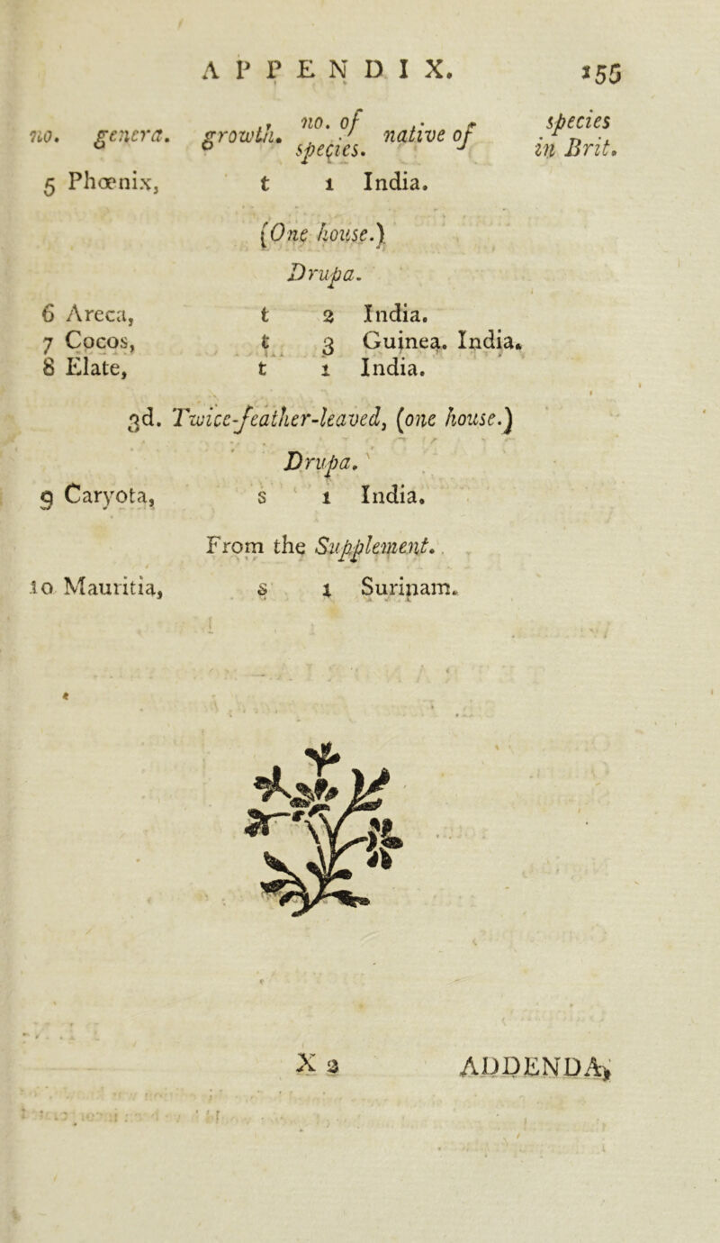 no. genera. 5 Phoenix, growth. no. of .• r .7 native or species. J 1 India. species in Brit. 6 Areca, 7 Cocos, 8 Elate, (One house.} Dr up a. t s India. t 3 Guinea. India* t i India. 3d- Twice-Jeather-leaved, (<we house.] - . „ * -r ^ *— Dr up a. q Caryota, s l India. From the Supplement. to Mauritia, s t Surinam. X 3 ADDENDA', • » f
