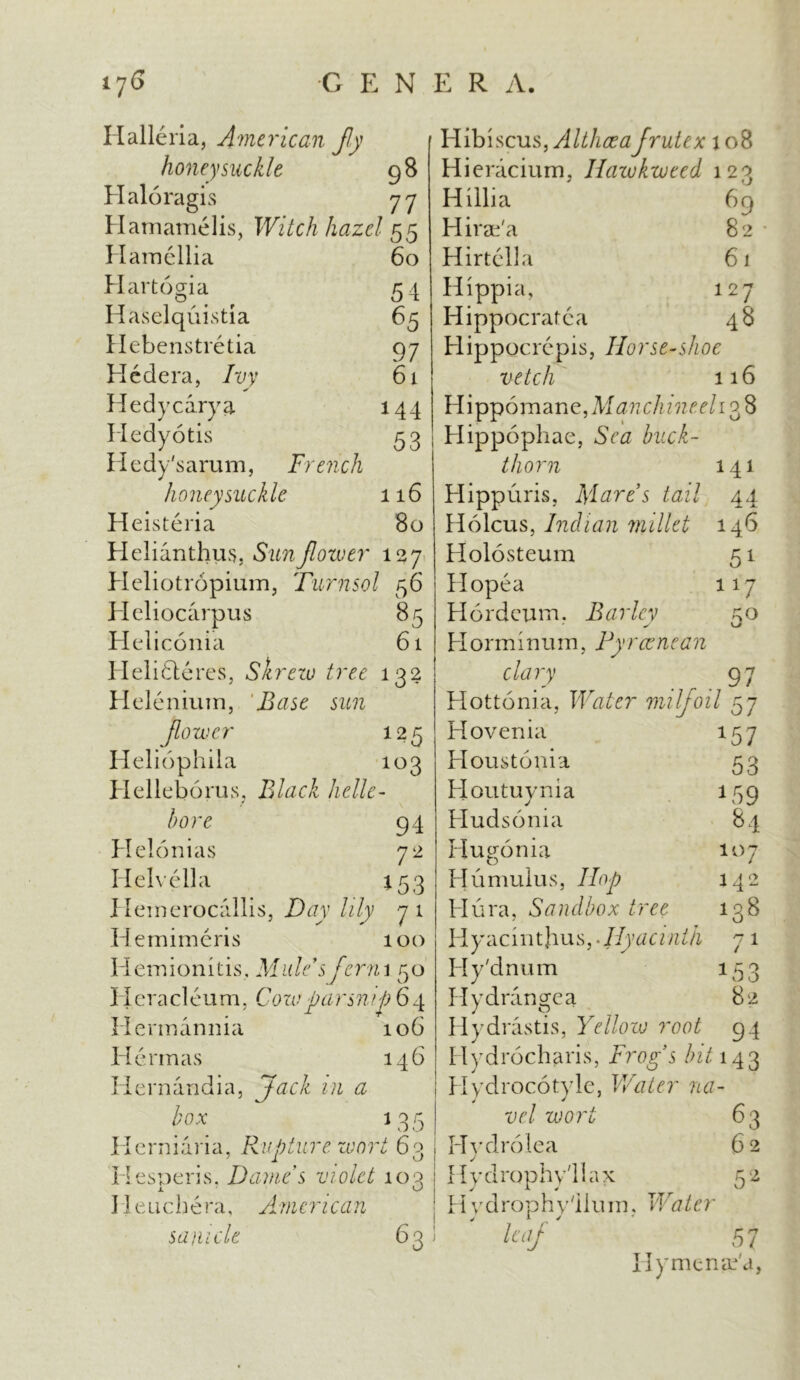 Halleria, American Jly honeysuckle 98 Haloragis 77 Hamamelis, Witch hazel 55 Hamellia 60 Hartogia 54 Haselquistia 65 Hebenstretia 97 Hcdera, Ivy 61 Hedycarya 144 Hedy otis 53 Hedy'sarum, French honeysuckle 116 Heisteria 80 Helianthus, Sun flower 127 Heliotropium, Turnsol 56 Heliocarpus 85 Heliconia 61 Helidteres, Shrew tree 132 Heleniuin, Base sun flower 125 Heliophila 103 Helleborus, Black helle- bore 94 Helonias 72 Helvella j 53 Heinerocallis, Day lily 71 Hemimeris 100 Hemionitis, Mule’s form 50 H e r a cl eu m, Co re pars n if 6 4 Hermannia 106 Hennas 146 Hernandia, z/j box 135 Herniaria, Rupture wort 63 Hesperis, Dames violet 10q i 1 e li c b e ra, yi men ca n Sdfucle 63 Hibiscus, Althaea Jrutex 108 Hieracium, Ilawkweed 123 Hillia 69 Hirae'a 82 Hirtella 61 Hippia, 127 Hippocratca 48 Hippocrcpis, Horse-shoe vetch 116 H i ppom a n e, M an ch ineel 138 Hippophae, Sea buck- thorn 141 Hippuris, Mares tail 44 Holcus, Indian millet 146 Holosteum 51 Hopea 117 Hordeum. Bariev zo Horminum, Fyrcenean clary 97 Hottonia, Water milfoil 57 Hovenia 157 Houstonia 53 Houtuynia 159 Hud sonia 84 Hugonia 107 Humuius, Hop 142 Hura, Sandbox tree 138 Hyacintjius, Jlyacinth 71 Hy'dnum 153 Hydrangea 82 Hydrastis, Yelloio root 94 Itydrocharis, Frogs bit 143 Hydrocotyle, Water na- vel wort 63 Hvdrolea 62 J \ Hydrophy'llax 52 | Hvdrophy'ilum, Water \ ' leaf 57 Hy menac'd,