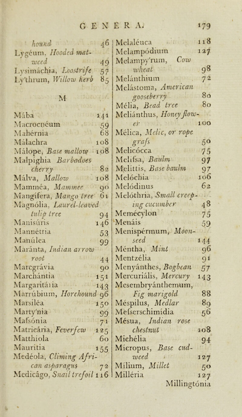 hound 46 Lygcum. Hooded mat- weed 4 9 Lysirnachia, Loostrife 57 Lv'thrum, Willoiv kerb 85 si 1 Maba Macrocncum Maher nia Malachra 141 59 68 108 Malope, Base mallow 108 Malpighia Barbadoes cherry 82 M al va, Mallow 108 Mammca, Mammec 90 Mangifera, Mango tree 61 Magnolia. Laurel-leaved vip tree 94 Manisuris 146 Mannetria 53 M an u lea 99 Maranta, Indian arrow root 44 Marcgravia 90 Marchantia 151 M argaritai ia 143 Marrubium, Horehound 96 Marsilea 150 Marty'nia 99 Mafsonia 71 Matricaria, Feverfew 125 Matthiola 60 Mauritia 155 Medeola, Climing Afri- can asparagus 7 2 Medicago, Snail trefoil 116 Melaleuca 118 Melampodium 127 M elampy'rum, Cow wheat 9^ Melanthium 72 Melastoma, American gooseberry 80 Melia, Bead tree 80 Melianthus, Honey fow- er 100 Melica, Melic, or rope grafs 50 Melicocca 75 Melifsa, Baulm 97 Melittis, Base baulm 97 Melochia 106 Melodinus 62 Melo-thria, Small creep- ing cucumber 48 Memecylon 75 'Menais 59 Menispermum, Moon- seed 144 Mentha, Mint 96 Mentzelia 91 Menyanthes, Bogbean 57 Mercurialis, Mercury 143 Mesembryanthemum, Fig marigold 88 Mespilus, Medlar 89 Mefserschimidia 56 Mesua, Indian rose chestnut 108 Michelia 94 Micropus, Base cud- weed - 127 Milium, Millet 50 Milleria 127 Millingtonia