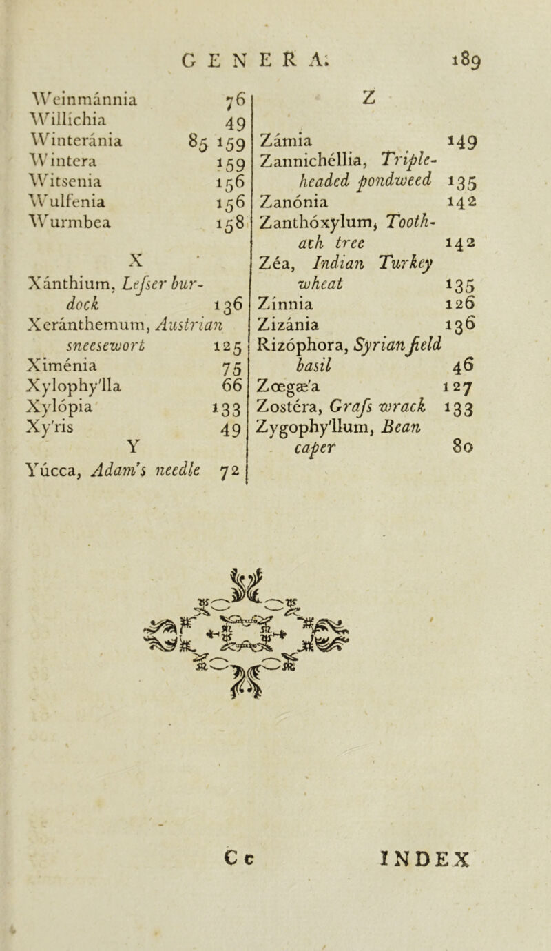 Weinmannia 76 Willichia 49 Winterania os 00 Wintera *59 Witsenia 156 Wulfenia 156 Wurmbea 158 X Xanthium, Lefserbur- 4 I dock 136 Xeranthemum, Austrian sneesewort 125 Ximenia 75 Xylophy'lla 66 Xylopia 133 Xy'ris 49 Y Yucca, Adam’s needle 72 Z Zamia 149 Zannichellia, Triple- headed pondzveed 135 Zanonia 142 Zanthoxylum* Tooth- ach tree 142 Zea, Indian Turkey wheat 135 Zinnia 126 Zizania 136 Rizophora, SyrianJield basil 46 Zoegae'a 127 Zostera, Grafs wrack 133 Zyg°phy'llum, Bean catier 80 Cc INDEX