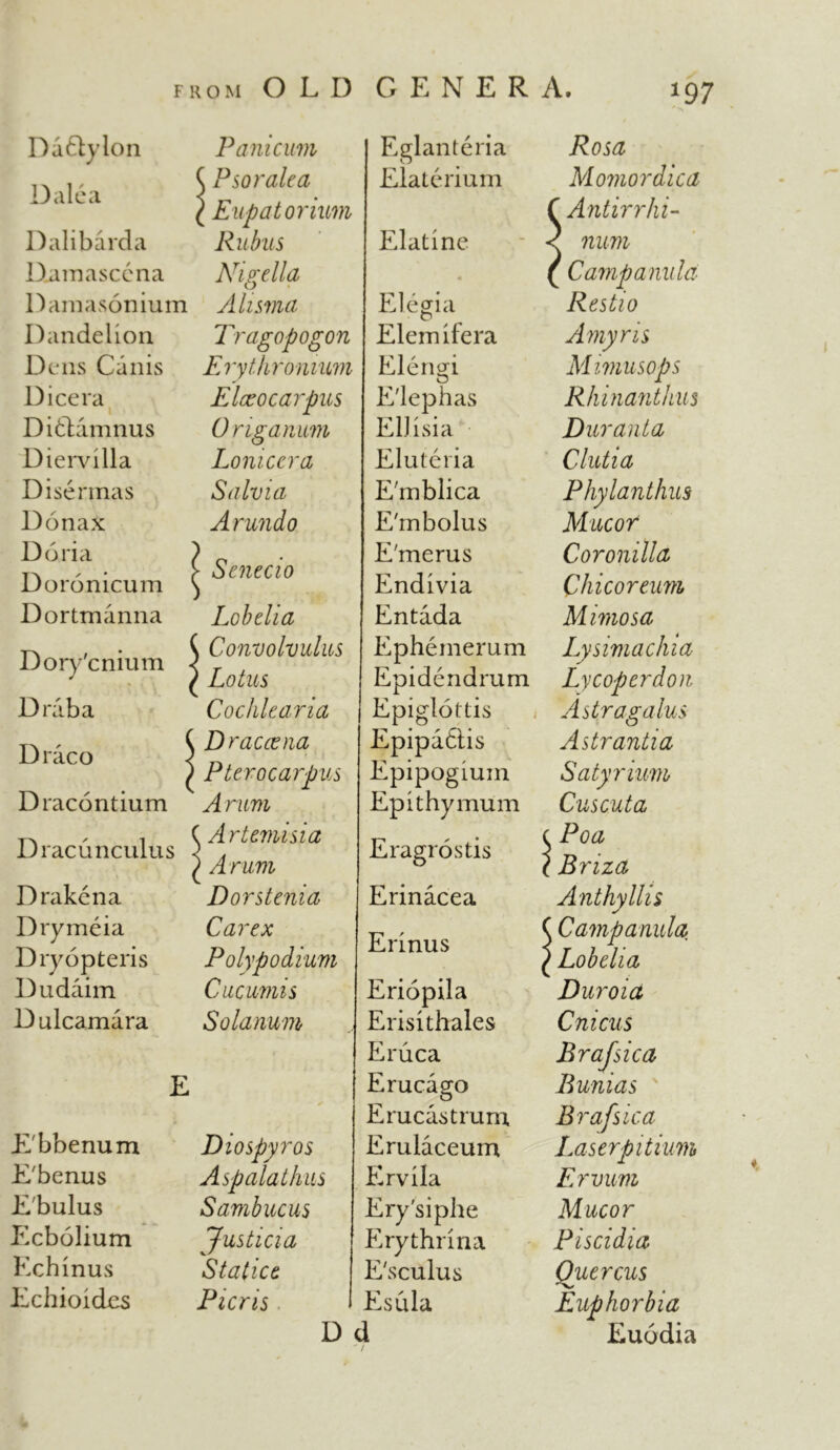 *97 Da fry Ion Dale a Dalibarda D.amasccna Damasonium Dandelion Dens Canis Dicera Di&amnus Diervilla Di sennas Donax Doria Doronicum Dortmanna Dory'cnium Drab a Draco Dracontium Dracun cuius Drakena Drymeia Dryopteris Dudaim Dulcamara Panicum P so rale a Eupatorium Rukis Nigella Alisma Tragopogon Erythronium E Ice o car pus 0 rig a mm Lomccra Salvia Arundo Senecio Lobelia Convolvulus Lotus Cochlearia Dracaena Pterocarpus Arum Artemisia Arum Dorstenia Car ex Polypodium Cucumis Solarium E'bbenum E'benus Ebulus Ecbolium Echinus Echioides Diospyros Asp ala thus Sambucus Justicia Static e Picris Eglanteria Elaterium Elatine Elegia Elemifera Elengi E'lephas Ell i si a Eluteria E'mblica E'rnbolus E'merus Endivia Entada Ephemerum Epidendrum Epiglottis Epipadiis Epipogium Epithymum Eragrostis Erinacea Erinus Eriopila Erisithales Eruca Erucago E rue as t rum Erulaceum Ervila Ery'siphe Erythrina E'sculus Esula D d Rosa Momordica Antirrhi- num Campanula Restio Amy r is Mimusops Rhinanthus D uranta Clutia Phylanthus Mucor Coronilla Chicoreum Mimosa Ly sima chi a Lycoperdon Astragalus Astrantia Satyr km Cuscuta Poa Briza Anthyllis Campanula Lobelia Duroia Cnicus Brajsica Bunias Brafsica Laserpitkm Ervum Mucor Piscidia Quercus Euphorbia Euodia