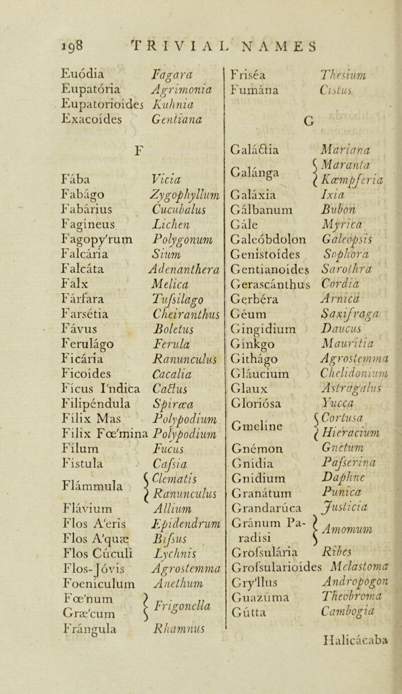 Euodia Fa gara Eupatoria Agrimonia Eupatorioides Kuhnia Exacoides *1^ Gentiana r Fab a rf * * vicia Fabago Zygophyllum Fabarius Cucubalus Fasdneus O Lichen Fagopy'rum Polygonum Falcaria Sium Falcata Adenanthera Falx Me lie a Farfara Tufsilago Farsetia Cheiranthus Favus Boletus Ferula go Ferula T? * / ' r ican a Ranunculus Ficoides Cacalia Ficus Fndica Cattus Filipendula Spiraea Filix Mas Poly podium Filix Foe'mina Polyp0dium Filum Fucus Fistula Cafsia Flammula [ Clematis ) Ranunculus Flavium Allium Flos A'eris Epidendrum Flos A'quse Bifsus Flos Cuculi Lychnis Flos-Jo vis Agrostemma Foeniculum A net hum Foe/num \ Grae'cum < > Frigonclla Frangula Rhamnus Frisea Thesium Fumana Cistus G Gala6lia Mariana Calanga { Maranta ( Kaempjeria Galaxia Ixia Galbanum Bubon Gale Mymca Galeobdolon Galeopsis Genistoides Soph or a Gentianoides Sarothra Gerascanthus Cordia Gerbera Arnica Geum Saxifraga Gingidium Daucus Ginkgo Mauritia Githago Agrostemma Glaucium Chehdonium Glaux Astragalus Gloriosa Yucca Gmeline ( Cortusa (Hieracium Gnemon G ne turn Gnidia Pafserina Gnidium Daphne Granatum Punic a Grandaruca Justicia Granum Pa- rad i si | A momum Grofsularia Ribes Grofsularioides Melastoma Gry'llus Guazuma Andropogon Tlicobroma Gutta Cambogia Halicacaba
