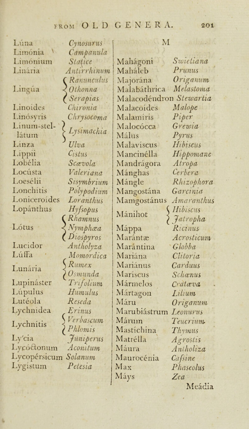 Luna Limonia N Limonium Linaria Cy no sums Campanula Statice Antirrhinum Ranunculus Othonna Serapias Chironia C hry so coma Lysimachia Ulva C'lstus Sccevola Vain a ana Sisymbrium Poly pod him Loranthus Hyjsopus Rhamnus Nymphcca Diospyros Antholyza Momordica Rumex Osmunda Tnf olium Humul us Reseda Emnus V Verb as cum ✓ Phlomis Juniperus I .yco&onum A conitum Lycopersicum Solanum Lygistum Petesia Lingua O Linoides Linosyris Linum-stel- latum Linza Lippii Lobelia Locust a Loeselii Lonchitis Loniceroides Lopanthus Lotus Luc idor Luff a Lunaria Lupinaster L u pul us Luteola Lychmdea Lychnitis Ly'cia M Mahasroni Swietiana O Mahaleb Prunus M a j o ra n a 0 rig a num Malabathrica Melastoma Malacodendron Stewartia Malacoides M a lope Malamiris Malococca Malus Malav iscus Mancinella Mandragrora O Manillas Mangle Maneostana Piper Grewia Pyrus Hdnscus Hippomanc Air op a Cerbcra Rhizophora Gamma M am cros t anus A rna i 'a nthus O _ Hibiscus Jatropha Manihot Mappa Marantae Marantina Mariana Marianus M arisen s M arm el os Marta^on o Ricinus Aero sti cum Globba Clitoria Carduus Schcenus Cr at ceva Lihum Origanum Ma.ru M arubiastrum Leonurus M a ru i n Teuc mum Mastichina Matrella Maura Maurocenia Max Mays Thymus Agrostis Antholiza Cajsine Phascolus Zea Meadia