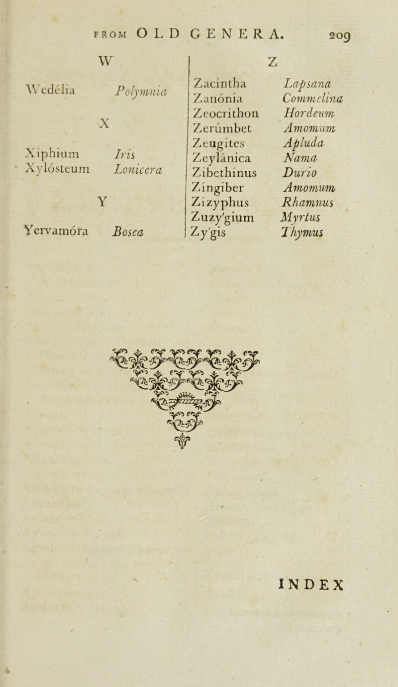W Wedelia Pol) ’mnia X Xiphium Iris Xyiosteum Loniccra Y Yervamora Bosea Z Zacintha Lap sana Zanonia Commelina Zeocrithon Hordeum Zerumbet Amomum Zeugites Apluda Zeylanica Kama Zibethinus Durio Zingiber Amomum Zizyphus Rhamnus ZuzyVium Myrtus Zy'gis 1 hymns INDEX
