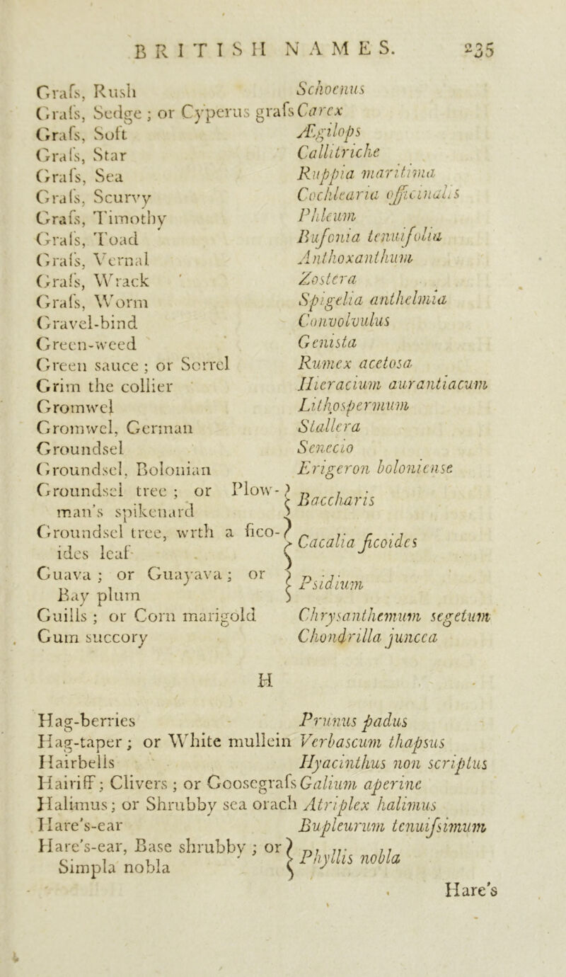 Grafs, Rush Grais, Sedge ; or Cyperus gi Grafs, Soil Grafs, Star Grafs, Sea Grafs, Scurvy Grafs, Timothy Grafs, Toad Grais, Vernal Grafs, Wrack Grafs, Worm Gravel-bind Green-weed Green sauce ; or Sorrel Grim the collier Grom we} Gromwel, German Groundsel Groundsel tree ; or man’s spikenard Groundsel tree, wrth a fico ides leal Guava; or Guayava; or Bay plum Guills ; or Com marigold Gum succory Plow- ? Schocnus afs Cctrcx yEgilops Callitriclie Ruppia maritima Cochlear hi officinal s Phlcum Bufcnia tmuifolia Antlioxanthum Zoster a Sp; gelid anthdmia Convolvulus Genista Rumex acetosa Hicracturn aurantiacuni Lithospermum S taller a Sene.ao B acchar is $ -} $ Cacalla Jicoidcs Psidium Ch rysanthemum segetum Cliondnlla juncca H Hag-berries Prunus padus Hag-taper; or White mullein Verbascum thapsus Ilairbelis Hyacinthus non scrip tus HairifF; Clivers ; or GoosegrafsGalium aperinc Halimus; or Shrubby sea orach Atriplex halimus Ilare's-ear Bupleurum tenuifsimum Hare's-ear, Base shrubby; or) n7 jr n c • i u > Phyllis nobla Simpia nobla ^ y Hare's