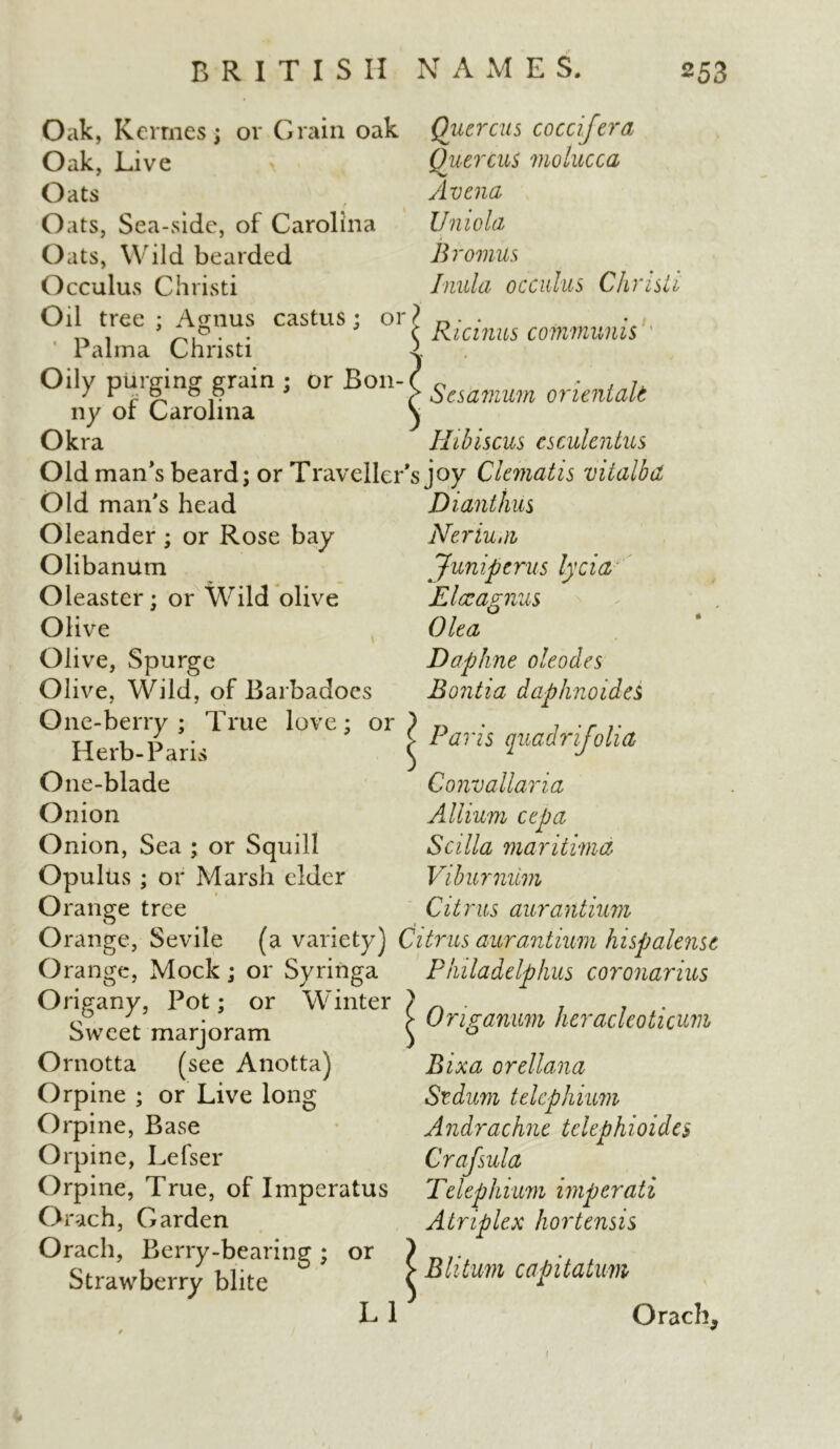 Oak, Kermes; or Grain oak Oak, Live Oats Oats, Sea-side, of Carolina Oats, Wild bearded Occulus Christi Oil tree ; Agnus castus; or Palma Christi Oily purging grain ; or Bon- ny of Carolina Okra Old man’s beard; or Traveller Old man’s head Oleander ; or Rose bay OlibanUm Oleaster; or Wild olive Olive Olive, Spurge Olive, Wild, of Barbadoes One-berry ; True love; or Herb-Paris O ne-blade Onion Onion, Sea ; or Squill Opulus; or Marsh elder Orange tree Orange, Sevile (a variety) O range, Mock; or Syringa Origany, Pot; or Winter Sweet marjoram Ornotta (see Anotta) Orpine ; or Live long Orpine, Base Orpine, Lefser Orpine, True, of Imperatus Orach, Garden Orach, Berry-bearing; or Strawberry blite LI Qucrcus coccifera Qucrcus molucca Avena Uni old Br omits Inula occulus Christi ^ Ricinus communis Scsamum orientals Hibiscus csculcntus ’s joy Clematis vitalbd Diant tins Neriu.n Juniperns lycia Elccagnus Oita Daphne oleodes Bontia daphnoides Paris quadrifolia Convallaria Allium cep a Scilia maritime Viburnum Citrus aurantium «^ Citrus aurantium hispalense Philadelphia coronarius Origanum hcracleoticum Bixa orellana Stdum telcphium Andrachne telephioides Crafsula Telephitm imperati Atriplex hortensis Blitum capitatum Orach, 1