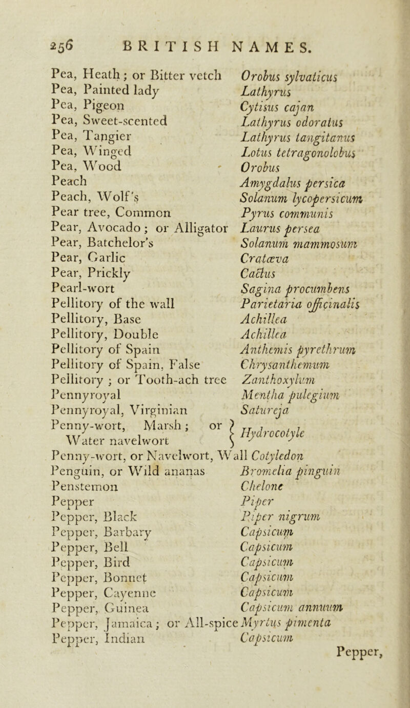 Pea, Heath ; or Bitter vetch Pea, Painted lady Pea, Pigeon Pea, Sweet-scented Pea, Tangier Pea, Winged Pea, Wood Peach Peach, Wolf's Pear tree, Common Pear, Avocado ; or Alligator Pear, Batchelor's Pear, Garlic Pear, Prickly Pearl-wort Pellitory of the wall Pellitory, Base Pellitory, Double Pellitory of Spain Pellitory of Spain, False Pellitory ; or Tooth-ach tree Pennyroyal Pennyroya 1, Virginian Penny-wort, Marsh; Orobus sylvaticus Lathyrus Cytints cajan Lathyrus odoratus Lathyrus tangitanus Lotus tetragonolobus Orobus Amygdalus persica Solanum ly coper si cum Pyrus communis Laurus per sea Solanum mammosum Cratccva Cactus Sagina procumbens Parietaria officinalis Achillea Achillea Anthemis pyre thrum Chrysanthemum Zanthoxylum Mentha pulegium Satureja Hydro cotylc or Water navelwort Penny-wort, or Navelwort, Wall Cotyledon Penguin, or Wild ananas Bromeha pingmn Penstemon Pepper Pepper, Black Pepper, Barbary Pepper, Bell Pepper, Bird Pepper, Bonnef Pepper, Cayenne Pepper, Guinea P e pper, } am a i ca ; Pepper, Indian Chelonc Piper Piper nigrum Capsicum Capsicum Capsicum Capsicum Capsicum Capsicum annuum or All-spice Myrtus pimenta Capsicum 1 Pepper,