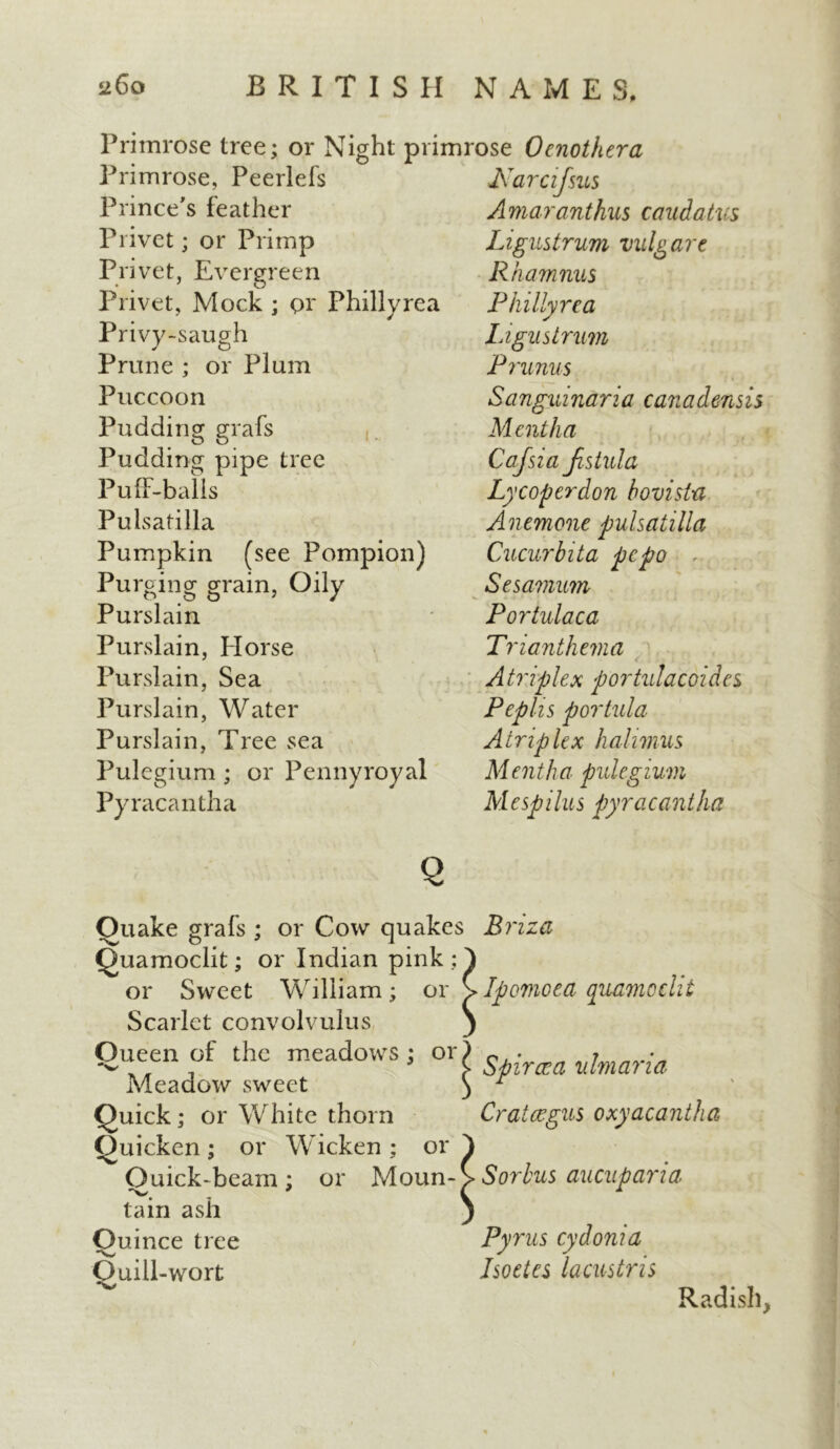 Primrose tree; or Night primrose Oenothera Primrose, Peerlefs JAarafsus Prince's feather Amaranthus caudatvs Privet; or Primp Privet, Evergreen Privet, Mock ; pr Phillyrea Privy-saugh Prune ; or Plum Puccoon Pudding grafs Pudding pipe tree Puff-balls Pulsatilla Pumpkin (see Pompion) Purging grain, Oily Purslain Purslain, Plorse Purslain, Sea Purslain, Water Purslain, Tree sea Pulegium; or Pennyroyal Py racantha Ligustrum vulgare Rhamnus Phillyrea Ligustrum Prunus Sanguinaria canadensis Mentha Cajsia fistula Lycoperdon hovista Anemone pulsatilla Cucurbita pepo Sesamum Portulaca Trianthema < . .< • ; Atriplex portulacoides Pephs portula Atriplex hahvius M entha puleg 1 um Mespilus pyracantha or Quake grafs ; or Cow quakes Quamoclit; or Indian pink ; or Sweet William; or Scarlet convolvulus Oueen of the meadows Meadow sweet Quick; or White thorn Quicken; or Wicken ; Ouick-beam; tain ash O uince tree 'w Ouiil-wort Bnza Ipomoea quamoclit Spiraea uImaria Crataegus oxyacantha or or Moun-)> Sorbus aucuparia Pyrus cydonia Isoetes lacustris Radish