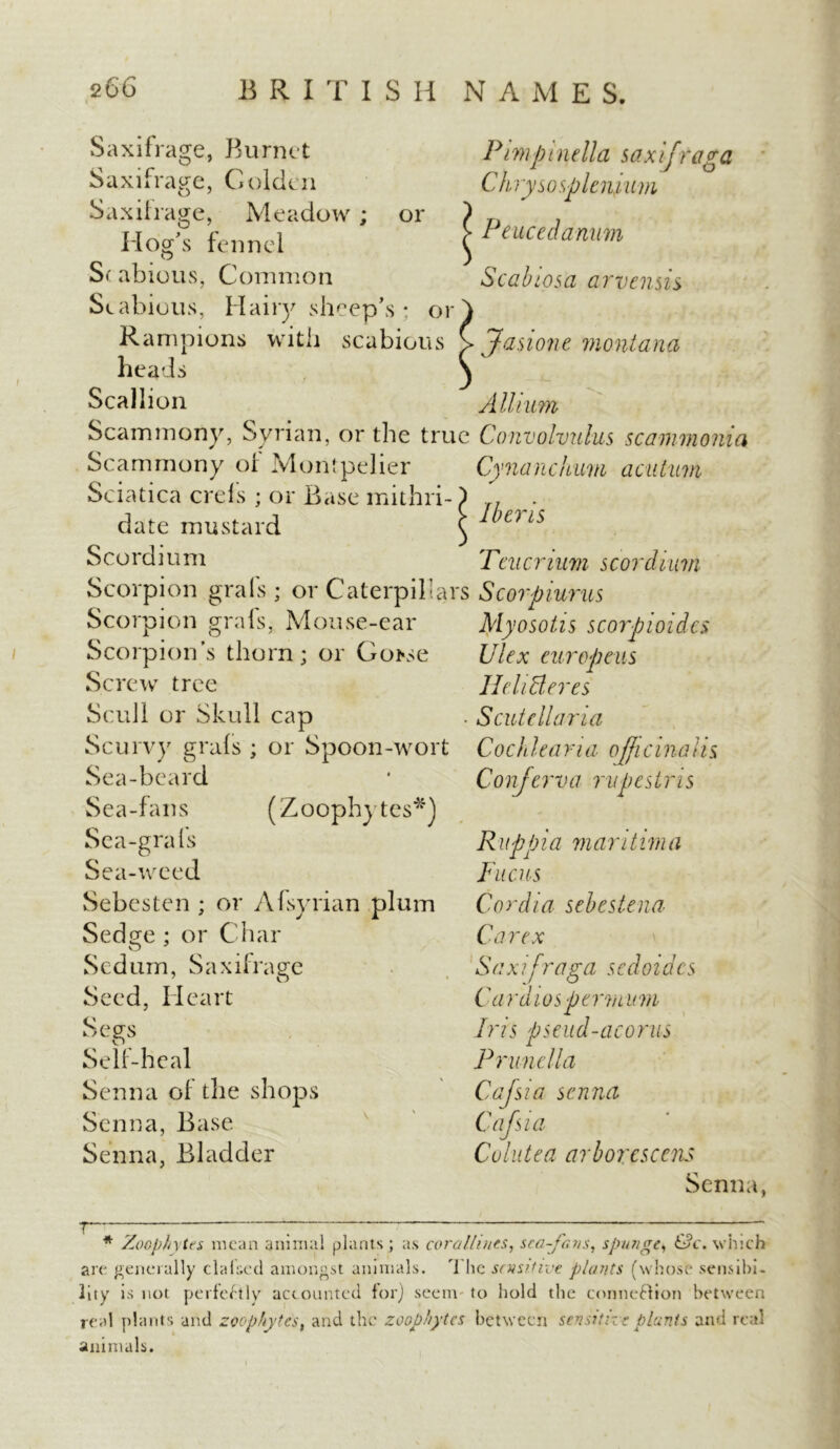 Saxifrage, Burnet Saxifrage, Golden Saxifrage, Meadow; or Hogs fennel S( abious, Common Scabious, Hairy sheep’s • or Rampions with scabious heads Scallion Scammony, Syrian, or the true Scammony of Montpelier Sciatica ends ; or Base mithri date mustard Scordium Scorpion grafs; or Caterpillars Scorpion grafs, Mouse-ear Scorpion’s thorn; or Gohse Screw tree Scull or Skull cap Scurvy grafs ; or Spoon-wort Sea-beard Sea-fans (Zoophytes*) Sea-grafs Sea-weed Sebesten ; or A fSyrian plum Sed^e ; or Char Sedum, Saxifrage Seed, Heart Segs Self-heal Senna of the shops Senna, Base Senna, Bladder Pimp India sax if rag a Chrysosplenjium Pe-ucedanum Scabiosa arvensis jfasione viontana Allium Convolvulus scammonia Cynanchuvi acutum Iberis Tencrium scordium Scorpiurus Myosotis scorpioides Ulex europens HeliFleres Scutellaria Cocklearia officinalis Conferva rupestris Ruppia maritima Fuchs Cordta sebestena Car ex Sax if raga sedoidcs C audios perrmtm Iris pseud-acorns Prunella Cafsia senna Cafsia Cohitea arborescent Senna, * Zoophytes mean animal plants ; as corallines, sea-fans, spurge, £?c. which are generally clafscd amongst animals. The sensitive plants (whose sensibi- lity is not perfectly accounted for) seem to hold the connexion between real plants and zoophytes, and the zoophytes between sensitiz e plants and real animals.