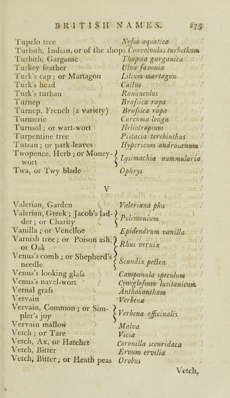 Tupelo tree Nyfsa aquatica Turbith, Indian, or of the shops Convolvulus turbethum 'Turbit.li, Garganic % Turkey leather Turk's cap; or Martagon Turk's head Turk’s turban Turnep Turnep, French (a variety) Turmeric Turnsol; or wart-wort 'Turpentine tree Tutsan ; or park-leaves Twopence, Herb ; or Money- wort Twa, or Twy blade V* ^ \ ’ \ > v v V Th ops 1 a ga rga me a Ulva famnia Lilium martagon Cactus Ranunculus Bra [sic a rapa Brafsica rapa Curcuma long a IIchoir opium Pistacia terebinthus Ilypcricum androsccnum Lysimachia nummulavia Ophrys Valerian, Garden Valerian, Greek ; Jacob’s lad- der ; or Charity Vanilla ; or Venelioe Varnish tree; or Poison ash, or Oak Venus’s comb ; or Shepherd’s needle Venus’s looking glafs Venus’s navel-wort Vernal grabs Vervain Vervain, Common; or Sim- pler’s joy Vervain mallow Vetch ; or Tare Vetch, Ax, or Hatchet Vetch, Bitter Vetch, Bitter ; or Heath peas Valeriana pine j ; Polcm’onium Epidendrum vanilla Rhus vernix * * * * - ‘ ’4 j I Scandix peBen J Campanula speculum Cynoglojsum lusitanicum Anthoxanthum Verbena Verbena officinalis Malva Vicia Coronilla securidaca Ervum ervilia Orobus Vetch.