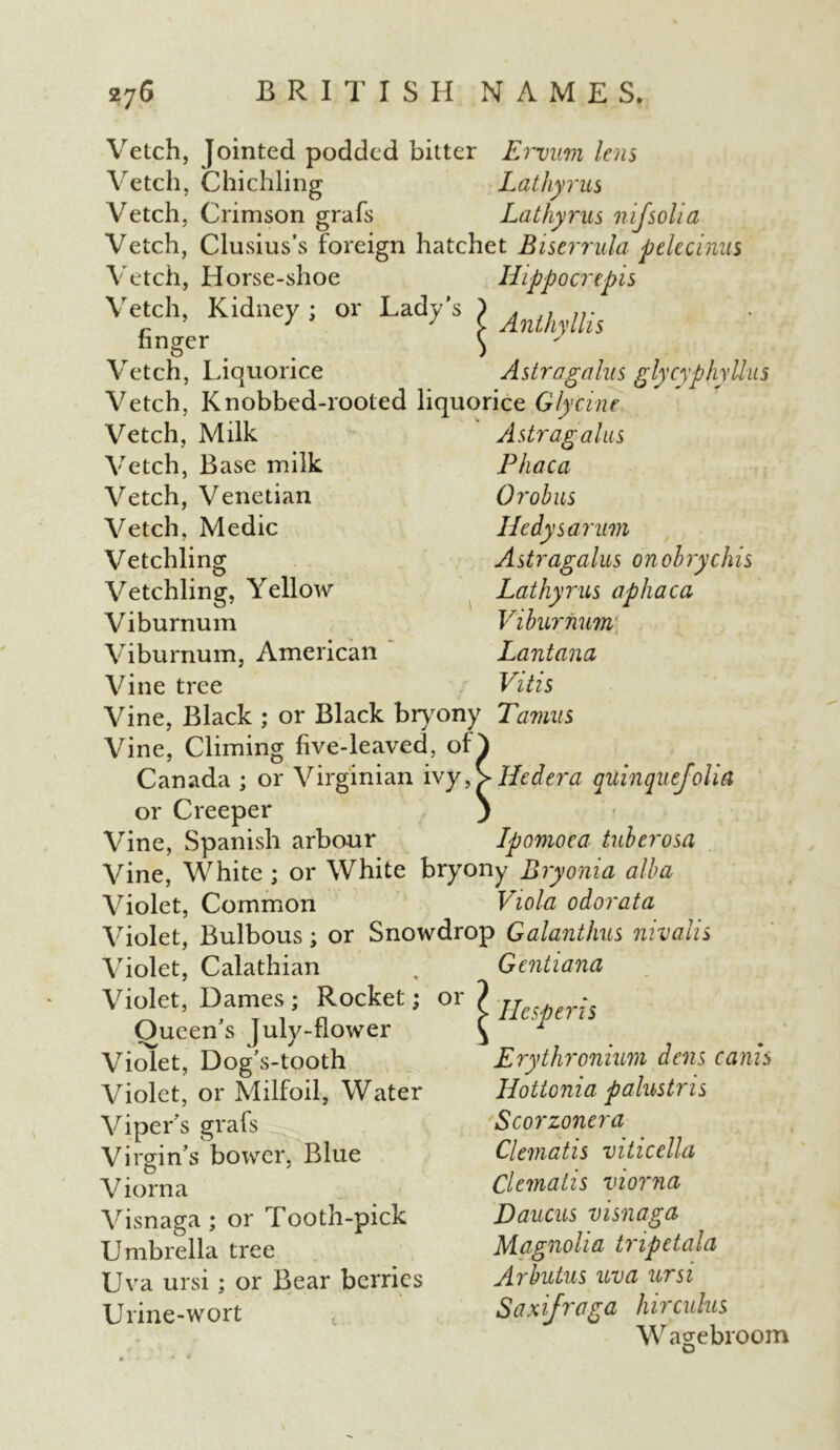 Vetch, Jointed podded bitter Ervim lens Vetch, Chichling Lathy ms Vetch, Crimson grafs Lathyrus nijsolia Vetch, Clusius’s foreign hatchet Bistrrula pelecinus Vetch, Horse-shoe Hippocrepis Vetch, Kidney ; or Lady's > ^ finger \ Vetch, Liquorice Astragalus glycyphyllns Vetch, Knobbed-rooted liquorice Glycine Astragalus Phaca Orobus Hedysarum Astragalus on oh rye his Lathy rus a phaca Viburnum Lantana Vitis Vetch, Milk Vetch, Base milk Vetch, Venetian Vetch, Medic Vetchling Vetchling, Yellow Viburnum Viburnum, American Vine tree Vine, Black ; or Black bryony Tatnus Vine, Climing five-leaved, ofl Canada ; or Virginian ivy \ He dera quinquejolia or Creeper j Vine, Spanish arbour Ipomoea tuberosa Vine, White ; or White bryony Bryonia alba Violet, Common Viola odor at a Violet, Bulbous; or Snowdrop Galanthus nivalis Violet, Calathian Gentiana Violet, Dames; Rocket; or Oueen’s July-flower Violet, Dog’s-tooth Violet, or Milfoil, Water Vipers grafs Virgin’s bower, Blue V iorna Visnaga ; or Tooth-pick Umbrella tree Uva ursi; or Bear berries Urine-wort Hesperis Erythronium dens cams Hottonia palustris Scorzonera Clematis viticella Clematis viorna Daucus visnaga Magnolia tripctala Arbutus uva ursi Saxifraga hircuius Wagebroom o