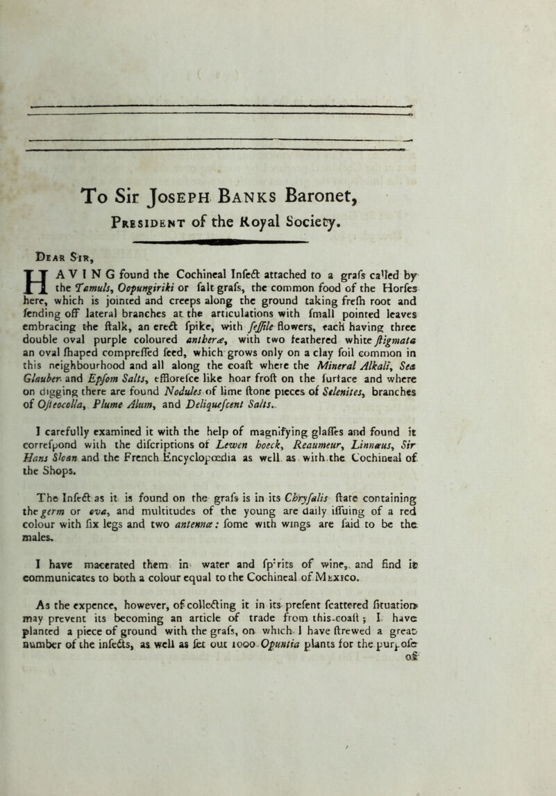 To Sir Joseph Banks Baronet, President of the Royal Society. Dear Sir, Having found the Cochlneal Infcft attached to a grafs caUcd by the Oopungiriki or fait grafs, the common food of the Horfcs. here, which is jointed and creeps along the ground taking frclh root and fending off lateral branches at the articulations with fmall pointed leaves embracing the ftalk, an creffc fpike, with fejftle flowers, each having three double oval purple coloured antheray with two feathered white jtigmata an oval fhaped compreffed feed, which grows only on a clay foil common in this neighbourhood and all along the eoaft where the Mineral Alkali^ Sea Glauber- and Epfom Salts^ efflorefee like hoar froft on the furtacc and where on digging there are found Nodules of lime ftone pieces of Selenites^ branches of OJieoooUay Plume Alum., and Deliquefeent Salts,. I carefully examined it with the help of magnifying glafles and found it correfpond with the diferiptions of Lewen hoeck^ Reaumeur^ Linneeus., Sir Hans Skan and the French Encyclopoedia as well as« with,the Cochineal of the Shops. The Infedl as it is found on the grafs is in its Chryfalis flare containing the germ or eva-^ and multitudes of the young arc daily ifluing of a red colour with fix legs and two antenna:: fome with wings arc faid to be the. males. I have macerated them in water and fp’rits of wine,, and find it! communicates to both a colour equal to the Cochineal of Mexico. As the expence, however, of colle<5ling it in its prefent fcattered fituatiora* may prevent its becoming an article of trade from ihis-eoaft j I have planted a piece of ground with the grafs, on which 1 have ftrewed a grcaD number of the infeds, as well as let out woo^Opunlia plants for thepur^ofer