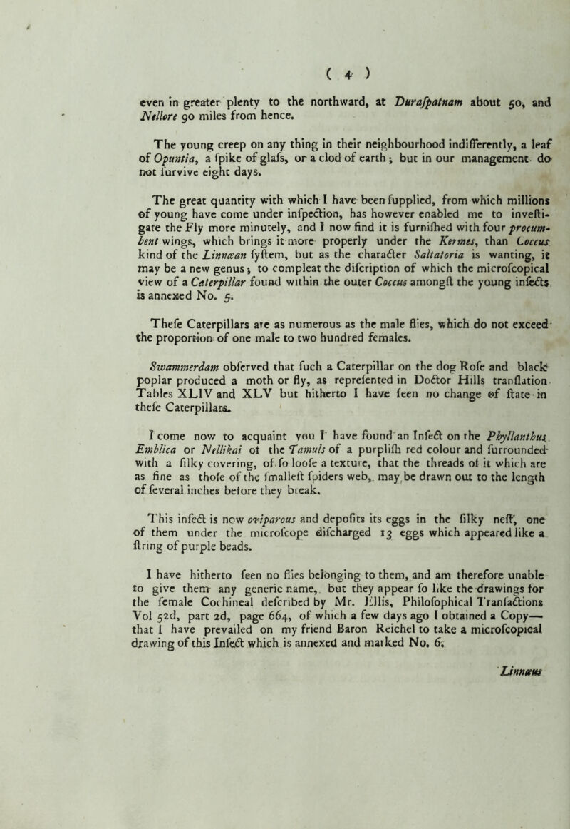 even in greater plenty to the northward, at Dura/patnam about 50^ and NelUre 90 miles from hence. The young creep on any thing in their neighbourhood indifferently, a leaf of Opuntia^ a fpike of glafs, or a clod of earth; but in our management do not iurvivc eight days. The great quantity with which I have beenfupplied, from which millions of young have come under infpcdlion, has however enabled me to invefli- gate the Fly more minutely, and 1 now find it is furnifhed with four procum* wings, which brings it more properly under the Kermes^ than Coccus kind of the Linnosan fyftem, but as the charadcr Saltatoria is wanting, it may be a new genus to compleat the difeription of which the microfcopical view of a Caterpillar found within the outer Coccui amongft the young infofts is annexed No. 5. Thefe Caterpillars arc as numerous as the male flies, which do not exceed' the proportion of one male to two hundred females. Swammerdam obferved that fuch a Caterpillar on the dog Rofe and black poplar produced a moth or fly, as reprefented in Doftor Hills tranflation Tables XLIV and XLV but hitherto 1 have fecn no change of ftate-in thefe Caterpillars. I come now to acquaint you I have foundan Infedl on the Phyllanthus. Emhlica or hlellikai ot the ^amuls of a purplifli red colour and furrounded' with a filky covering, of fo loofe a texture, that the threads ot it which are as fine as thofe of the fmalleft fpiders web,, may,be drawn out to the length of feveral inches before they break. This infedt is now oviparous and depofits its eggs in the filky nefl', one of them under the microfcope difeharged 13 eggs which appeared like a firing of purple beads. I have hitherto feen no files belonging to them, and am therefore unable- to give therrr any generic name, but they appear fo like the-drawings for the female Cochineal deferibed by Mr. Jillis, Philofophical Tranlaftions Vol 52d, part 2d, page 664, of which a few days ago I obtained a Copy— that 1 have prevailed on my friend Baron Rcichel to take a microfcopical dra wing of this Infe(5l which is annexed and marked No, 6; Linnum