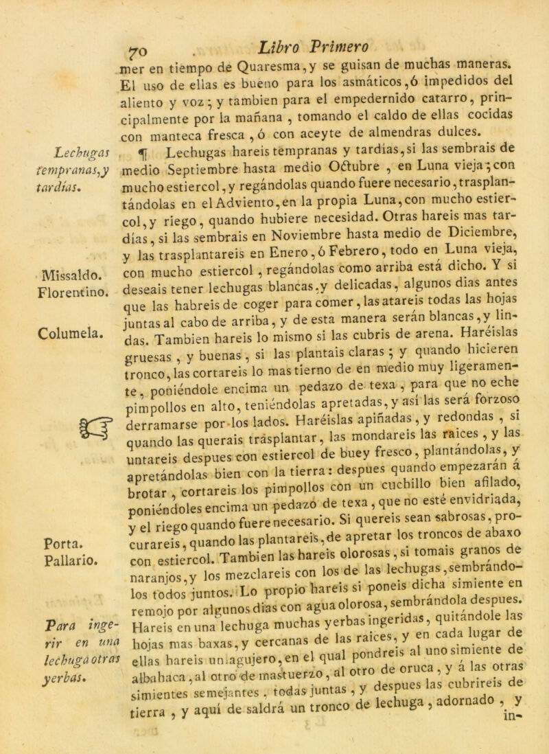 Lechugas fempranas^y tardías• Missaldo. Florentino. Columela. Porta. Pallario. Tara inge- rir en una lechuga otras yerbas. Libro Primero mer en tiempo de Quaresma,y se guisan de muchas maneras. El uso de elias es bueno para los asmàticos,ó impedidos del aliento y voz; y tambien para el empedernido catarro, prin- cipalmente por la manana , tomando el caldo de ellas cocidas con manteca fresca ,ó con aceyte de almendras dulces. . Lechugas hareis tempranas y tardías,si las sembrais de medio Septiembre hasta meaio Oítubre , en Luna vieja^con mucbo estiercol, y regandolas quando fuere necesario,trasplan- tàndolas en el Adviento,en la pròpia Luna,con mucho estier- col, y riego, quando hubiere necesidad. Otras hareis mas tar- días, si las sembrais en Noviembre hasta medio de Diciembre, y las trasplantareis en Enero, ó Febrero, todo en Luna vieja, con mucho estiercol , regandolas como arriba està dicfao. Y si deseais tener lechugas blancas.y delicadas, algunos dias antes que las habreis de coger para comer, las atareis todas las hojas juntasal cabo de arriba, y de esta manera seran blancas ,y lin- das. Tambien hareis lo mismo si las cubris de arena. Hareislas gruesas , y buenas , si las plantais claras; y quando hicieren tronco las cortareis lo mastierno de en medio muy ligeramen- te poniéndole encima un pedazo de texa , para que no eche pimpollos en alto, teniéndolas apretadas, y así las sera forzoso derramarse por-los lados. Haréislas apinadas, y redondas , si quando las querais trasplantar, las mondareis las raices y las untareis despues con estiercol de buey fresco, plantando as, y apretàndolas bien con la tierra: despues quando empezaran a brotar , cortareis los pimpollos con un cuch.llo bien afilado, poniéndoles encima un pedazo de texa, que no etteenv.dr.ada, fe riego quando fuere necesario. Si querets sean sabrosaspro- curareis,quando las plantareis,de apretar los troncos de abaxo con estiercol. Tambien las hareis olorosas, si tomais granos e naranjos.y los mezclareis con los de las lechugas, sembrando- los todos’inntos. Lo propio hareis si dt^a stm.ente en remojopor algunos dias con aguao orosa,s aujtàndole las H-i. « ™ »“'h“ ?S, « d hojas mas baxas,y cercanas de la ^ ^ unosimiente de ellas hareis unlagujero,en el qual p d ^ otras albahaca ,al ot^ demasWo a 0 * ^ cubdreis de simientes semejantes , todas-juntas, y v tierra , y aquí de saldri un tronco de lechuga , adornado