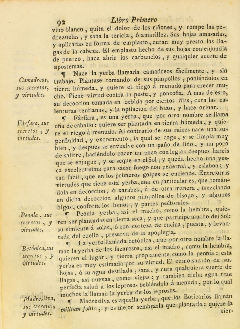 Camadreos, sus secretos, y virtudes. Farfara, secretos , ^ virtudes. Peonfa , secretos , jy virtudes. Betónica^sus secretos , virtudes• Madresilva, jmí secretos, virtudes• g2 Lííro Primero v'mo blanco , quita el dolor de los rinones, y rompé las pe- tí re zue las , y sana la tericia , ó amarillez. Sus hojas amasadas, y aplicadas en forma de emplasto, curan muy presto las 11a- easde la cabeza. El emplasto hecho de sus hojas con enjundia de puerco , hace abrir los carbunclos , y qualquier suerte de q[ Nace la yerba llamada camadreos facilmente , y sin trabajo. Plàntase tomando de sus pimpollos , poniendolos en tierra liúmeda, y quiere el íiego à menudo para crecer mu- cho. Tiene virtud contra la peste, y ponzona. A mas de esto, su decoccion tomada en bebida por ciertos dirs, cura las ca- lenturas tereianas, y la opilacion del b izo, y hace orinar. «■ Farfara, es una yerba, que por otro nombre se llama una de caballo: quiere ser plantada en tierra húmeda , y quie- re el riego a menudo. Al contrario de sus raices nace una su- perfluidad , y excremento , la qual se coge , y se limpia muy bien , y despues se envuelve con un pano de hno , y un poco de salitre haciéndolo cocer un poco conlegia: despues hareis que se enjugue , y se seque en elSol, y queda hecho una yes- ca excelentísima para sacar fuego con pedernal, y eslabon; y tan facil , que en los priffieros golpes se enciende. Entre otras virtudes que tiene esta yerba,una en particular es, que toman- dola en decoccion, ó xarabes,.! de otra manera, mezclando en dicha decoccion algunos pimpollos de hisopo , y algunos hieos conforta los lomos, y paries peétora es. % ’peonía yerba, así el macho, como ta hembra, quie- ren ser plantadas en tierra seca, y que participe mucho del Sol. “Se à solas, ó con corteza de enc.na , puesta, y levan- tada del cuello , preserva de la apoplegia. „ La yerba llamada betónica, que por otro nombre la lla- ma! la yerba de los lazarosos, así el macho, como la hembra I Invar v tierra propiamente como la peonia . esta quieren el lugar, y ti P F sacado de sus yerba es muy estimada por « virtud. W * gn ,uerft de hojas, ó su agua destilad. , - , y dicha agua trae peffeàa sàlud à los leprosos bebiéndola 4 menudo, por lo qual muchos la llaman la yerba..f^bl^mmlós Boticarios Uamàn »«L foüis , y - mejor sembraria que plantaria: qu.ereto