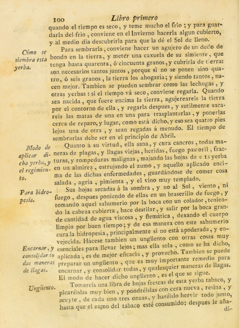 quando el tiempo es seco, y teme mucho el frio ;y para guar- daria del frio , conviene en ellnvierno hacerla algun cubierto, y al medio dia descubrirla para que la dé el Sol de lleno. r, Para sembraria, conviene hacer un agujero de un dedo de . hondo en la tierra, y metér una caxuela de su simíente, que stemra es ten^a hasfa quarenta, ó cincuenta granos,y cubrirla de t.erra. yer a‘ s0n necesarios tantosjuntos , porque si no se ponen sino qua- tro, ó seis granos, la tierra los ahogaría; y siendo tantos, na- cen mejor. Tambien se pueden sembrar como las lechugas , y otras yerbas : si el tiempo và seco, conviene regaria. Quando sea nacida, que fuere encima la tierra, agujereareis la tierra por el contorno de ella , y regaria despues, y sutiimente saca* reis las matas de una en una para trasplantarlas , y ponerlas cerca de reparo, y lugar, como està dicho, y eso sea quatro pies lejos una de otra , y sean regadas à menudo. El tiempo de sembrarlas debe ser en el principio de Abril. de Quanto à su virtud, ella sana, y cura cancros , todas ma- r J neras de plagas,y llagas viejas , heridas, fuego past or il, frac- apluui di- roinpeduras malignas , majando las bojas de e ta yerba Ch,aytti en u^almirePz , estrujando el zumo , y aquello aplicado enci- e regimien- « ^ ^ ^ enferraedades , guardandose de comet cosa t0‘ salada , agria , pimienta , y el vino muy templado. Pílra Hdro- Sus’ hojas secadas à la sombra , y no al_So.; ^v.ento , m fesía ÒUS nojas SCLdUdO * ? J - 1 r ar fuego , despues poniendo de ellas en un braserillo de fuego , y tomando aquel sahumerio por la boca con un colador ,wn^- do la cabeza cubierta , bace destilar, y sa ír p 0 de cantidad de agua viscosa , y flemauca , dexando el cuerpo limpio por buen tiempo; y de esa manera con este sahumerio cura la hidropesía, principalmente si no esta apoderada , y en- vejecida. Hàcese t’ambien un ungüento con otras cosas muy Encarnar,y esenciales para llevar lejos; mas ella sola , como se a du.1 consolidar lo apUcada , es de mejor eficacia , y das maneras preparar un ungüento , q ie es muv p . llagas. de llagas. encarnar . y consolidar todas, y qualesqu.er maneras de llagas. El rnodo de hacer dicho unguento , es el q ' • Tomareis una libra de hojas frescas de esta yerba tabaco, y picaréislas muy bien , y aceyte , de cada uno tres onzas, V ha . * hasta que el zumo del tabaco esté consumido: despues le ana^ Utmiento·