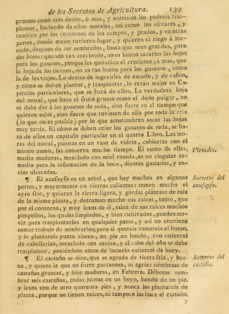 gruesos como tres dedos,ó mas, y entonces los podreis tras- plantar hadendo de ellos morales, así como los olivares , y tambien por los contornos de los campos, y prados , y en otras partes, donde mejor tuvieren lugar, y quieren el riego a me- nudo,despues de ser sembrados, hasta-que sean grandes, para dar hojas: quando van creciendo, no es bueno sacaries las hojas para los gusanos, porque les quitarian el creciente;à mas, que Ja hojade lostiernos, no es tan buena para los gusanos , como la de los viejos.Lo demas de ingerirlos de escudo, y de cànon* y cómo se deben plantar, y trasplantar,lo veran mejor en Ca- pítulos particulares, que se harà de ellos. La verdadera boja del moral , que hace el fruto grueso como el dedo pulgar, no se debe dar à los gusanos de seda, sino fuere en el tiempo que quieren subir, sino fuere que tuviesen de ella por toda la cria (lo que no es posible) por lo que acostumbran sacar las hojas muy tarde. El cómo se deben criar los gusanos de seda, se ha- ra de ellos un capitulo particular en el quarto Libro. Las mo- ras del moral, puestas en un vaso de vidrio , cubieitas con el mismo zumo, las conserva mucho tiempo. El zumo de ellas, medio maduras, mezclado con miel rosada,es un singular re- medio para la inflamacion de la boca, dientes gastados,y en- cias ulceradas. f El azufayfo es un arbol , que hay muchos en algunas partes, y mayormente en tierras calientes: temen mucho el ayre frio, y quieren la tierra ligera, y gorda: plàntase de raiz de la misma planta, y derraman mucho sus raices , tanto, que por el contorno, y muy lexos de él, salen de sus raices muchos pimpollos, los quales limpiados, y bien cultivados, pueden ser- vir para trasplantarlos en qualquier parte, y así no conviene tomar trabajo de sembrarlos; pero si quereis tomareis el hueso, y lo plantareis punta abaxo , un pie en hondo, con estiercoi de caballeriza, mezclado con ceniza,y al cabo del ano se debe trasplantar, poniéndolo antes de hacerlo estiercol de buey. El castano se dice, que se agrada de tierra fria,y bue- na , y quiere la que no fuere pantanosa, ni agria: siémbrase de castanas gruesas, y bien maduras, en Febrero. Debense sem- brar seis castanas, todas juntas en un hoyo, hondo de un pie. y lexos uno de otro quarenta pies , y nunca los plantareis de planta . porque no tienen raices, ni tampoco las hace el castano, y Virtudes• Secretos del azufayfo. Secretos del castano.