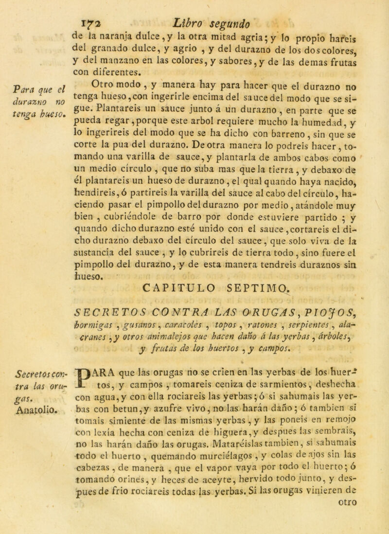 Para que el durazno no tenga hueso• Secretos con- tra las oru- gas. Anatolio. 17 2 Libro segundo de la naranja dulce,y la otra mitad agria; y lo propio hareis del granado dulce, y agrio , y del durazno de los dos colores, y del manzano en las colores, y sabores,y de las demas frutas con diferentes. Otro modo , y manera hay para hacer que el durazno no tenga hueso,con ingerirle encimadel saucedel modo que se si- gue. Plantareis un sauce junto à un durazno , en parre que se pueda regar,porque este arbol requiere mucho la humedad, y lo ingerireis del modo que se ha dicho con barreno, sin que se corte la pua del durazno. De otra manera lo podreis hacer, to- mando una varilla de sauce, y plantaria de ambos cabos como un medio circulo , que no suba mas queia tierra, y debaxo de él plantareis un huesode durazno,el qualquando haya nacido, hendireis,ó partireis la varilla del sauce al cabo del circulo, ha- ciendo pasar el pimpollo del durazno por medio, atàndole muy bien , cubriéndoíe de barro por donde estuviere partido ; y quando dicho durazno esté unido con el sauce ,cortareis el di- cho durazno debaxo del circulo del sauce, que solo viva de Ja sustancia del sauce , y lo cubrireis de tierra todo, sino fuere el pimpollo del durazno, y de esta manera tendreis duraznos sin hueso. CAPITULO SEPTIMO. SECRETOS CONTRA LAS ORUGAS, PTOJO S, bormigas , gusanos, caracoles , topos , ratones , serpientes , ala- cr cines :y otros animalejos que hac en dano à las yerh as, àrboles, y frutas de los huertos , y campos. 4 • * • PARA que las orugas no se crien en las yerbas de los huer- tos, y campos , tomareis ceniza de sarmientos, deshecha con agua,y con ella rociareis las yerbas ;ó si sahumais las yer- bas con betun,y azufre vivo, no las haran dano; ó tambien si tomais simiente de las mismas yerbas , y las poneis en remojo con lexía hecha con ceniza de higuera,y despues las sembrais, no las haran dano las orugas. Matareislas tambien, si sahumais todo el huerto , quemando murciéíagos , y colas deajos sin las cabezas, de manera , que el vapor vaya por todo el huerto; ó tomando orines, y heces de aceyte, hervido todo junto, y des- pues de frio rociareis todas las yerbas. Si las orugas vinieren de otro