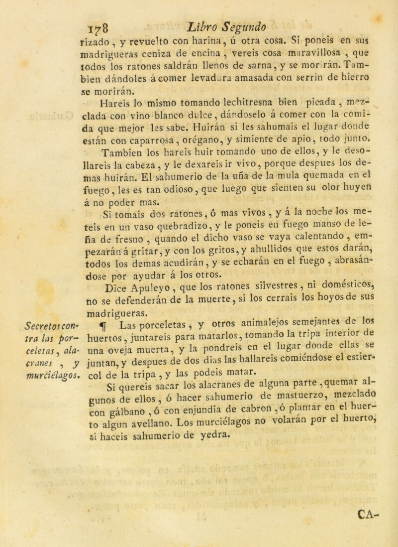 Secret os con- tra las por- celetas, ala cranes , y murciélagos 1J78 Libro Segando rizado , y revuelto con harina, ú otra cosa. Si poneis en sus madrigueras ceniza de encina , vereis cosa maravillosa , que todos los ratones saldràn llenos de sarna, y se mor ràn. Tam- bien dàndoles àcomer levad-ra amasada con serrin de hierro se moriran. Hareis lo mismo tomando lecbitresna bien picada , mez- clada con vino blanco dulce, dandoselo à comer con la comi- da que mejor les sabe. Huiràn si les sahumais el lugar donde estan con caparrosa, orégano, y simiente de apio, todo junto. Tambien los hareis huir tomando uno de ellos, y le deso- llareis la cabeza, y le dexareisir vivo, porque despues los de- mas huiran. El sahumerio de la una de la mula quemada en el fuego, les es tan odioso, que luego que sienten su olor huyen à no poder mas. Si tomais dos ratones, ó mas vivos, y a la noche los me- teis en un vaso quebradizo, y le poneis en fuego manso de le- na de fresno , quando el dicho vaso se vaya calentando , em- pezaràn à gritar, y con los gritos,y ahullidos que estos daran, todos los demas acudiran, y se echaran en el fuego , abrasàn- dose por ayudar à los otros. . / Dice Apuleyo , que los ratones silvestres , ni domesticos, no se defenderàn de la muerte, si los cerrais los hoyosde sus madrigueras. _ . Las porceletas , y otros animalejos semejantes de los huertos juntareis para matarlos, tomando la tripa interior de una oveja muerta, y la pondreis en el lugar donde ellas_ se juntan, y despues de dos dias las hallareis comiendose el estier- , col de la tripa , y las podeis matar. Si quereis sacar los alacranes de alguna parte ,quemar al- «unos de ellos, ó hacer sahumerio de mastuerzo, mezclado con gàlbano ,ó con enjundia de cabron ,ó plantar en el huer- to algun avellano. Los murciélagos no volaran por el huerto, si haceis sahumerio de yedra. CA-