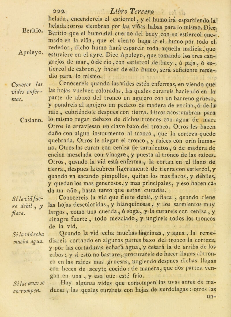 Beritío. Apuleyo. Conocer las vides en fer- mas. Casiano. Si lavidfue- re debil , y flaca. Si lavidecha vucba agua. Si las uvas se corrompen» 222 Libro Tercera / helada, encendereis el estiercol, y el humo irà esparciendo la helada :otros siembran por las vinas habas para lo mismo. Dice Beritío que el humo del cuerno del buey con su estiercol qne- . mado en la vina, que el viento haga ir el humo por todo ei rededor, dicho humo hara esparcir toda aquella malicia,que estuviere en el ayre. Dice Apuleyo, que tomando las tres can- grejos de mar, ó de rio,con estiercol de buey , ó paja, ó es- tiercol de cabron,y hacer de ello humo, serà suficiente reme- dio para lo mismo. Conocereis quando las vides estén enfermas, en viendo que las hojas vuelven coloradas, las quales curareis haciendo en la parte de abaxo del tronco un agujero con un barreno grueso, y pondreis al agujero un pedazo de madera de encina,ó de la raiz, cubriéndole despues con tierra. Otros acostumbran para lo mismo regar debaxo de dichos troncos con agua de mar. Otros le atraviesan un clavo baxo del tronco. Otros les hacen dano con algun instrumento al tronco , que la corteza quede quebrada. Otros le riegan el tronco , y raices con orin huma- no. Otros las curan con ceniza de sarmientos, ú de madera de encina mezclada con vinagre, y puesta al tronco de las raices. Otros, quando la vid està enferma , la cortan en el llano de tierra, despues lacubren ligeramente de tierra con estiercol, y quando va sacando pimpollos, quitan los masflacos,y débiles, y quedanlos mas generosos,y mas principales, y eso hacen ca- da un aho , hastà tanto que estan curadas. Conocereis la vid que fuere debil, y flaca , quando tiene las hojas descoloridas, y blanquinosas , y los sarmientos muy largos, como una cuerda, ó soga, y la curareis con ceniza, y tdnagre fuerte , todo mezclado, y ungireis todos los troncos de la vid. Quando la vid echa muchas làgrimas, y agua , la reme- diareis cortando en algunas partes baxo del tronco la corteza, y por las cortaduras echar'à agua, y cesarà la de arriba de los cabos; y si esto no bastaré, procurateis de hacer llagas al tron- co en las raices mas gruesas, ungiendo despues dichas llagas con heces de aceyte cocido : de manera, que dos partes ven» gan en una , y eso que esté frio. Hay algunas vides que corrompen las uvas antes de ma- durar , las quales curareis con hojas de verdolagas : otros las un-