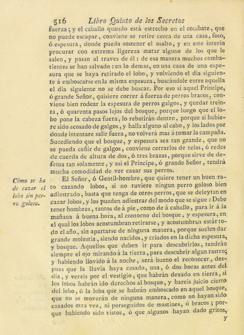 Como se ha de cazar el lobo sin per- ro goloso. 516 Libro Quinto de los Secretos fuerza; y el caballo quando està estrecho en el combaté, que no puede escapar, conviene se retire cerca de una casa, foso, ó espesura, donde pueda sostener el asalto, y en este ínterin procurar con extrema ligereza matar alguno de los que le salen, y pasan al traves de él: de esa manera muchos comba- tientes se han salvado : en lo demas, en una caza de una espe- sura que se haya retirado el lobo, y volviendo el dia siguien- te à emboscarse en la misma espesura, buscàndole entre aquella el dia siguiente no se debe buscar. Por eso si aquel Príncipe, ógrande Sehor, quisiere córrer à fuerza de perros braços, con- viene bien rodear la espesura de perros galgos, y quedar trein- ta, ó quarenta pasos lejos del bosque, porque luego que el lo- bo pone la cabeza fuera, lo rebatiran dentro, porque si hubie- re sido acosado de galgos, y halla alguno al cabo, y los lados por donde intentare salir fuera, no volvera mas a tomar la campana. Sucediendo que el bosque, y espesura sea tan grande, que no se pueda cenir de galgos, conviene cerrarlos de telas, ó redes de cuerda de altura de dos, ó tres brazas, porquesirve de de- fensa tan solamente , y así el Príncipe, o grande Sehor, tendra inucha comodidad de ver cazar sus perros. El Sehor, ó Gentil-hombre, que quiere tener un buen ra- to cazando lobos, si no tuviere ningun perro goloso bien adiestrado, basta que tenga de otros perros, que se deleytan en cazar lobos, y los pueden adiestrar del modo que se sigue : Debe tener hombres, tantos de à pie, como de à caballo, para ír à la mariana à buena hora, al contorno del bosque, y espesura, en el qual los lobos acostumbran retirarse, y acostumbran estar to- do elano, sin apartarse de ninguna manera, porque suelendar grande molèstia , siendo nacidos, y criados en la dicha espesura, y bosque. Aquellos que deben ir para descubrirlos, tendran siempre el ojo mirando à la tierra, para descubrir algun rastro; y habiendo liovido à la noche, serà bueno el reconocer, des- pues que la llu via haya cesado, una, ó dos horas aptes del dia, y vereis por el vestigio, que habran dexado en tierra,si los lobos habran ido derechos al bosque , y hareis juicio cierto del lobo, ó la loba que.se habran emboscado en aquel bosque, que no se moveràn de ninguna manera, como no hayan si o cazados otra vez, ni perseguidos de mastines, ú braços; por- que habiendo sido vistos, ó que algunos hayan dado gritos,