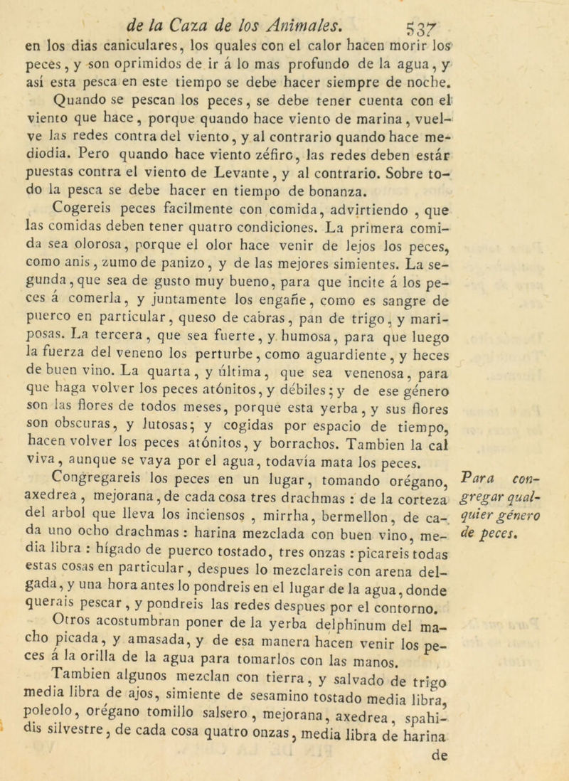 en los dias caniculares, los quales con el calor hacen morir los peces, y son oprimidos de ir à lo mas profundo de la agua, y así esta pesca en este tiempo se debe hacer siempre de noche. Quando se pescan los peces, se debe tener cuenta con el viento que hace, porque quando hace viento de marina, vuel- ve las redes contra del viento, y al contrario quando hace me- diodia. Pero quando hace viento zéfiro, las redes deben estar puestas contra el viento de Levante, y al contrario. Sobre to- do la pesca se debe hacer en tiempo de bonanza. Cogereis peces facilmente con comida, advirtiendo , que las comidas deben tener quatro condiciones. La primera comi- da sea olorosa, porque el olor hace venir de lejos los peces, como anis, zumo de panizo, y de las mejores simientes. La se- gunda,que sea de gusto muy bueno, para que incite à los pe- ces à comerla, y juntamente los engane, como es sangre de puerco en particular, queso de cabras, pan de trigo, y mari- posas. La tercera, que sea fuerte, y humosa, para que luego la fuerza del veneno los perturbe, como aguardiente, y heces de buen vino. La quarta, y última, que sea venenosa, para que haga volver los peces atónitos, y débiles;y de ese genero son las flores de todos meses, porque esta yerba, y sus flores son obscuras, y Jutosas; y cogidas por espacio de tiempo, hacen volver los peces atónitos, y borrachos. Tambien la cal viva, aunque se vaya por el agua, todavía mata los peces. Congregareis los peces en un lugar, tomando orégano, Para con~ axedrea , mejorana, de cada cosa tres drachmas : de la corteza gre%ar qual- del arbol que lleva los inciensos , mirrha, bermellon, de ca- quter género da uno ocho drachmas: harina mezclada con buen vino, me- de peces. dia libra : hígado de puerco tostado, tres onzas : picareis todas estas cosas en particular, despues lo mezclareis con arena del- gada, y una hora antes lo pondreis en el lugar de la agua. donde querais pescar , y pondreis las redes despues por el contorno. Otros acostumbran poner de la yerba delphinum del ma- cho picada, y amasada, y de esa manera hacen venir los pe- ces à la orilla de la agua para tomarlos con las manos. Tambien algunos mezclan con tierra, y salvado de trigo media libra de ajos, simiente de sesamino tostado media libra poleolo, orégano tomillo salsero , mejorana, axedrea. spahi- dis silvestre, de cada cosa quatro onzas, media libra de harina de