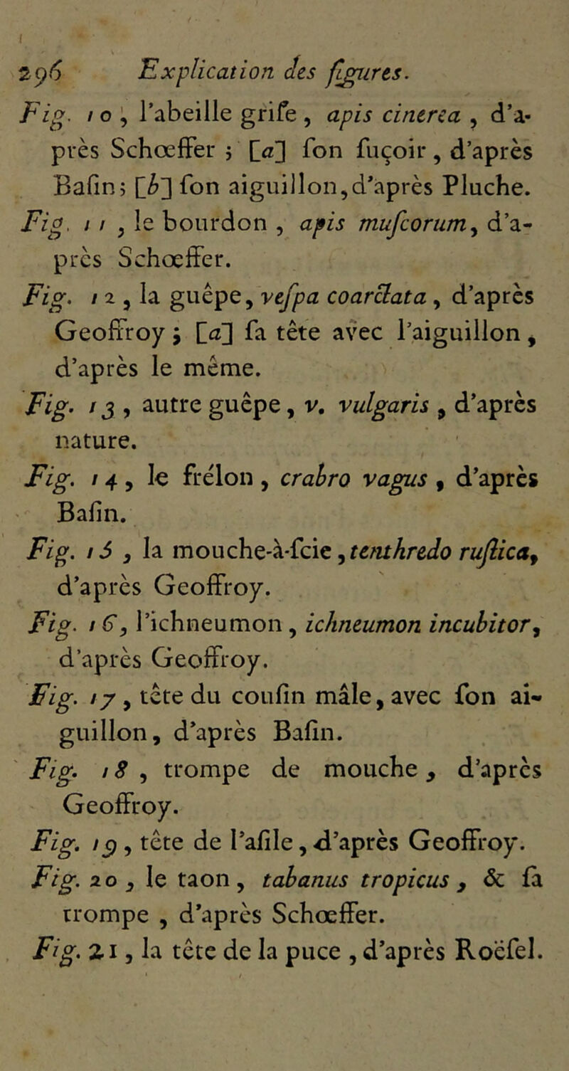 I 2^6 Explication des figures. Fig. / O l’abeille grife , apis cintrea , d’a- près SchœfFer j Ca] fon fuçoii*, d’après Bafin; [b'] fon aiguillon,d’après Pluche. Fig. / / J le bourdon , apis mufcoruruy d’a- près Schœlfer. Fig. / 2 5 la guêpe, vefpa coarclata, d’après Geoffroy 5 fa] fa tête avec l’aiguillon ^ d’après le même. Fig. IJ , autre guêpe, v, vulgaris , d’après nature. Fig. / 4 5 frelon , crahro vagis , d’après Bafin. Fig. / i , la ^temhredo ruflicaf d’après Geoffroy. Fig. I l’ichneumon, ichntumon incuhitor^ d’après Geoffroy. Fig. // , tête du coufin mâle, avec fon ai- guillon, d’après Bafin. ' Fig. / 8 , trompe de mouche , d’après Geoffroy. Fig. I s 9 l’afile, ’après Geoffroy. Fig. 2 O , le taon, tahanus tropicus , & fa trompe , d’après Schœffer. Fig. 2.15 la tête de la puce , d’après Roefel.