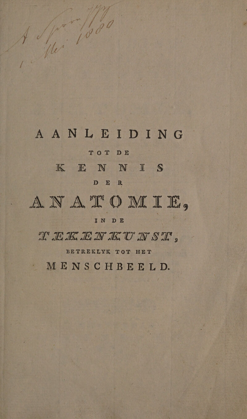 AAD / vld LOR? / / bad / AANLEIDING K EN N IS ANATOMIE, A EREN KU AS Es BETREKLYK TOT HET MENSCHBEELD.