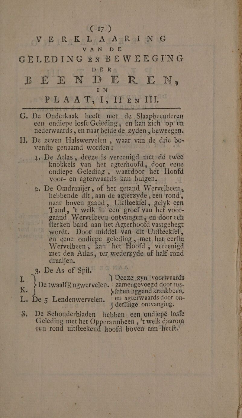 CE47)) V-EsReK-L;AsAasRal NG VAN DE GELEDING en BEWEEGING | DE Ro Bee a NN ID Reels We Nog IN “pob ASA DUITS TE EN TL G. De Onderkaak heeft met de Slaapbeenderen een ondiepe losfe Geleding , en kan zich op en nederwaards , en naar beide de zyden , beweegen. H. De zeven Halswervelen , waar van de drie bo= venfte genaamd worden: | 1. De Atlas , deeze is vereenigd mêt:de twee knokkels van het agterhoofd, door eene ondiepe Geleding , waardoor het Hoofd voor- en agterwaards kan buigen. a. De Omdraaijer, of het getand Wervelbeen, hebbende dit ‚aan de agterzyde , een rond, naar boven gaand, Uittteekfel , gelyk cen Tand, ’* welk in een groef van het voor- gaand Wervelbeen ontvangen; en dooreen fterken band aan het Agterhoofd vastgehegt wordt. Door middel van dit Uitfteekfel , en eene ondiepe geleding , met het eerfte _ Wervelbeen , kan het Hoofd , vereenigd met den Atlas, ter wederzyde of half rond draaijen. 3. De As of Spil. Eel ) Deeze zyn voorwaards p De twaalfRugwervelen. « zamengevoegd door tus- K. új Lfehen liggend kraakbeen, L. De 5 Lendenwervelen, | en agterwaards door on- | REA Jderlinge ontvanging. S, De Schouderbladen hebben een ondiepe losfe Geleding met het Opperarmbeen , ’t welk daarom, een rond uitfteekend hoofd boven aan hecit. Ea pe ema Bp enne oven id ve Bn Pig 7 RE Eeen sa. “de an