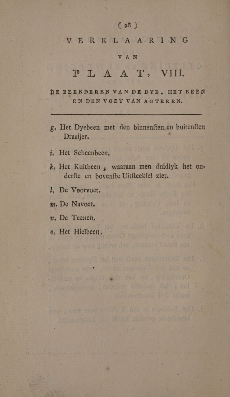 C 28 ) VER K LA A-R IN G Vv AN Pee sAA Bos VAI DE BEENDEREN VAN DE DYE, HET BEEN EN DEN VOET VAN AGTEREN. g, Het Dyebeen met den binnenften en buitenften Draaijer. ' 2, Het Scheenbeen,. k, Het Kuitbeen ; waaraan men duidlyk het on- derfte en bovenfte Uitfteekfel ziet, ), De Voorvoet. mm. De Navoet. n, De Teenen,