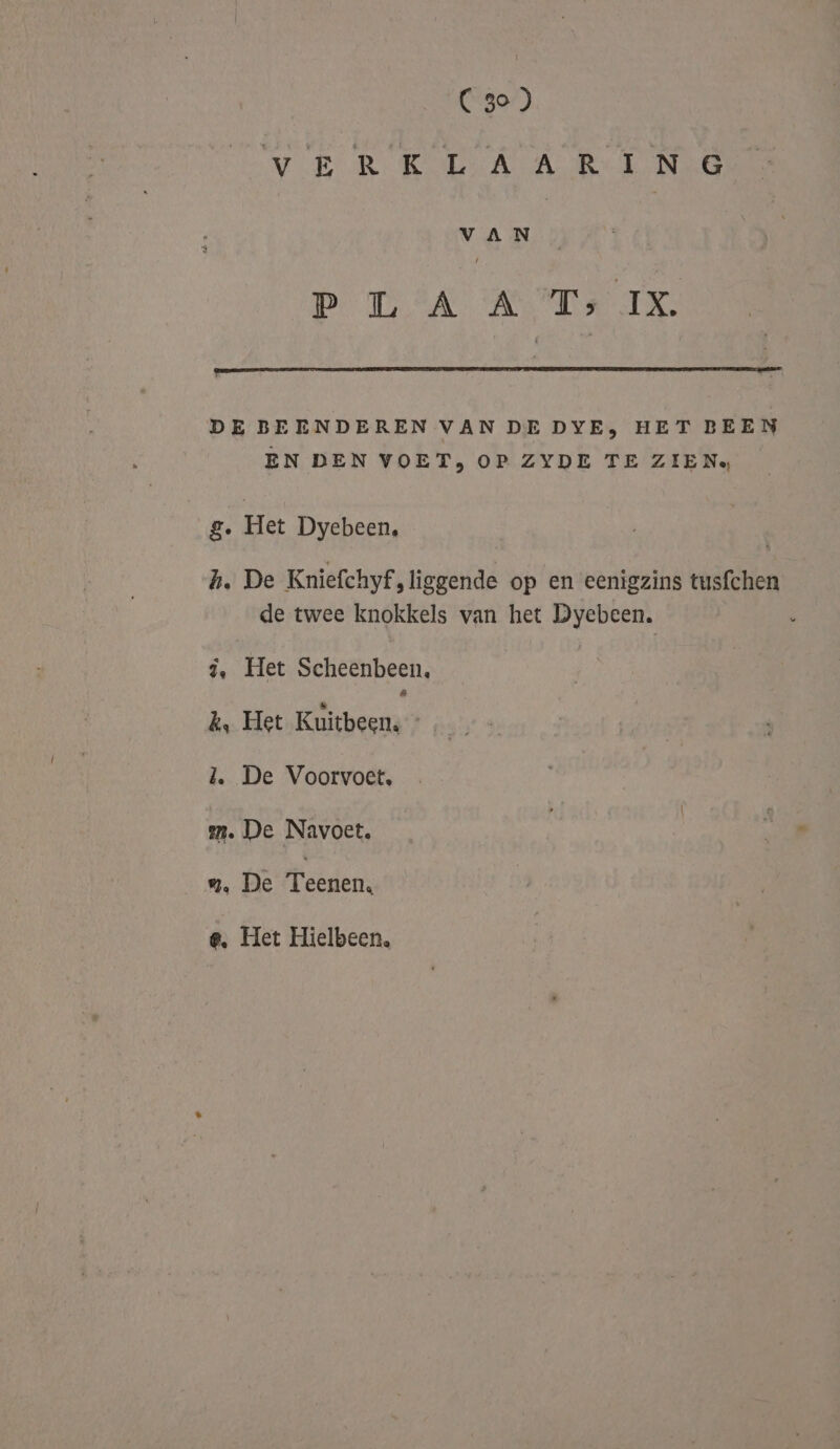 VER KTA AR TNG VV A N P TA RT IK DE BEENDEREN VAN DE DYE, HET BEEN EN DEN VOET, OP ZYDE TE ZIEN: g. Het Dyebeen, h. De Kniefchyf,liggende op en eenigzins tusfchen de twee knokkels van het Dyebeen. 3. Het Scheenbeen, k, Het Kuitbeen. - J. De Voorvoet, mm. De Navoet. wy. De Teenen, e. Het Hielbeen,