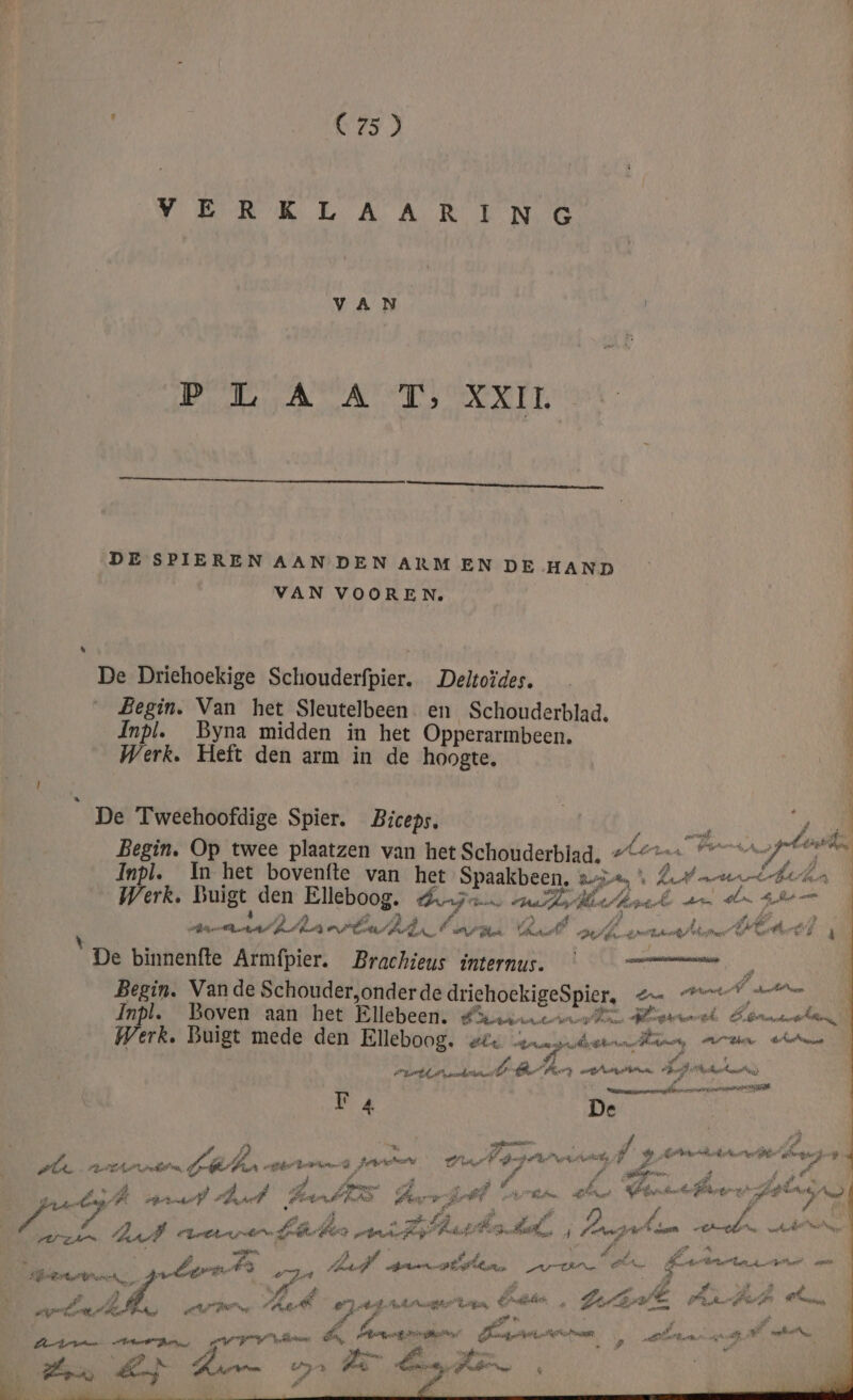 f (75) VRM EA ARTE NES PRA Aret DE SPIEREN AAN DEN ARMEN DE HAND VAN VOOREN, | De Driehoekige Schouderfpier. Deltoïdes. Begin. Van het Sleutelbeen. en Schouderblad. Inpl. _Byna midden in het Opperarmbeen. Werk. Heft den arm in de hoogte. nn It “De Tweehoofdige Spier. Biceps, | ; Begin. Op twee plaatzen van het Schouderblad, -C= ser 08 / Inpl. In het bovenfte van het Spaakbeen, zeis, * AN arran Werk. Buigt den Elleboog. eN ardea arn dln den SZ A re Â es ad N vaan dd vbu bl £ armin drf ek eran) Celrel j De binnenfte Armfpier. Brachieus internus. — —=== Begin. Vande Schouder,onderde driehoekigeSpier, 4 mm eten Inpl. Boven aan het Ellebeen. dirt Harmel eN Werk. Buigt mede den Elleboog. wle enegie Deine rte dj / il ed B Ary erin herdr anamnese vee e had EA De f, ke Ps , be Eed Reg ef in Ve pg” Tender de} P/ ) tennn Peree ar E Befrierre ff „&amp; ne al” pr AAN Een EDA RESEM y 4 eg inie Pe) ad Pl &amp; pr A A ik. Pe} PA 7d AFS EDR ve nand Je te hl ve 8 é B, À sien g je d ve # Z diek: PS ee Hare ps el ir Bd — Et Ge nrden He é &amp; zer Brknd Ve) : # en Pe kr * af nf ä lb anke it Ps IN ‘ dh Pad f 5 se £ 4 ad LA Ë BS: iS, Ë ed geen e ERD A PPE Ere nt d ie bon er hún te he J Elder lS £â Á Ferf Aas Te Bl î ef Pr 4 ° # á 4 d, dl ls detrt ee pd > ie Led ie, di! opaan URN Ee grt ui we gt ERG peten sĳ en s Ar | de Ed #3 ef „5 F BE eh ni A al Bj E ef Ë 5 EJ B rr B airs Ermgidier à Zi PE and FAA Pk nn …\ k Pi nd, 3 PENNE … il berk | Rie TAL Ed ©) df en pk aad Olpe tete Bess ETE iens Á BRR P, í | , ‚ 5 ri pe Pd Zed En paf rin Bot roan jn ir Pes en S e me Ne Td kon 9 jj