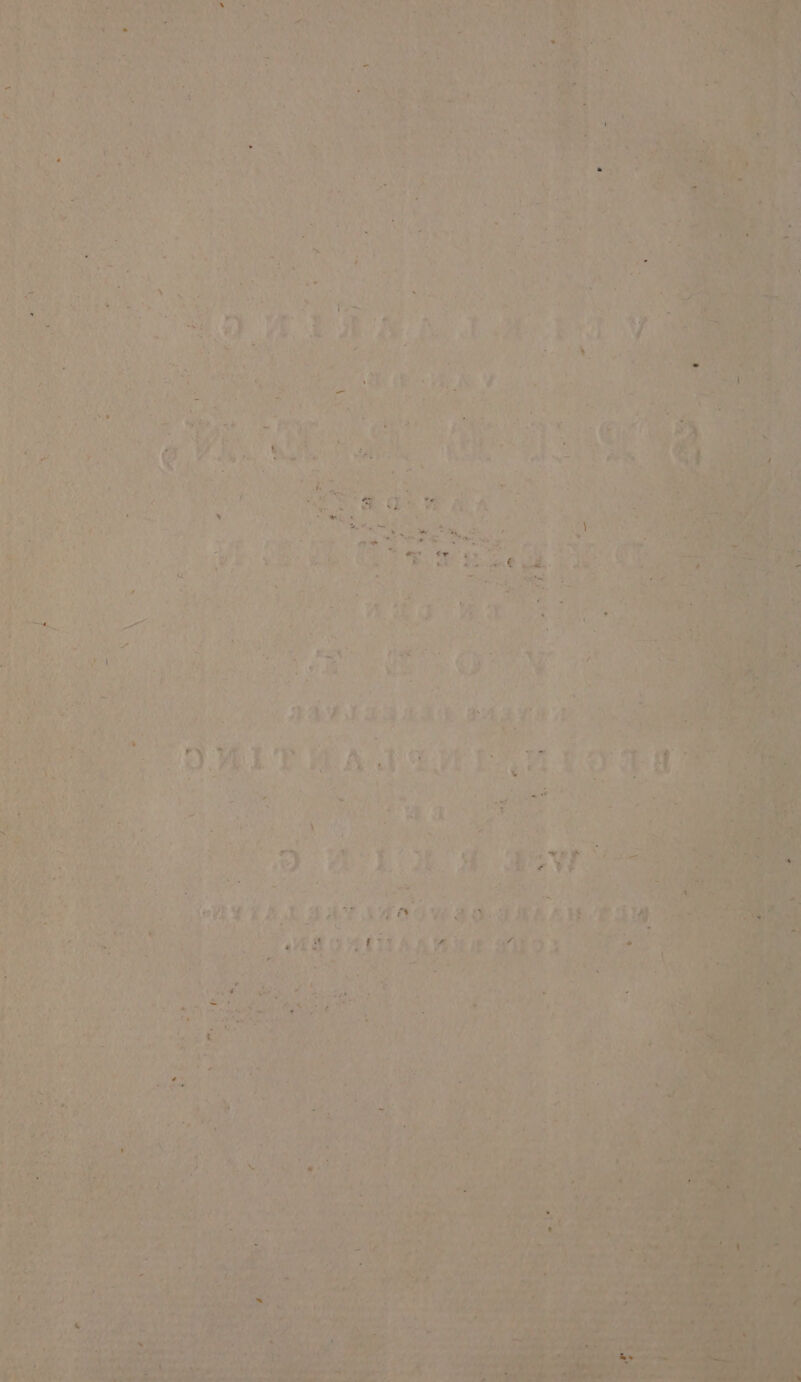 Hd Al Bi vb ride gen