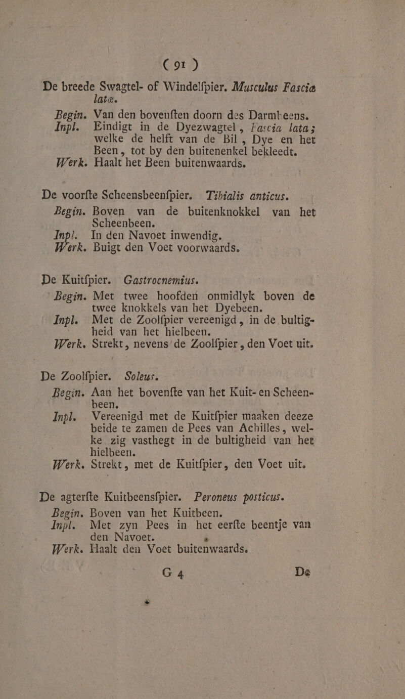 Cor) De breede Swagtel- of Windelfpier. Musculus Fascia late. Begin. Van den bovenften doorn des Darmteens. dnpl. Eindigt in de Dyezwagtel , Fascia latas welke de helft van de Bil, Dye en het Been , tot by den buitenenkel bekleedt. Werk. Haalt het Been buitenwaards. De voorfte Scheensbeenfpier. Tibialis anticus. Begin. Boven van de buitenknokkel van het Scheenbeen. Inpl. In den Navoet inwendig. Werk. Buigt den Voet voorwaards. De Kuitífpier. Gastrocnemius. Begin. Met twee hoofden onmidlyk boven de twee knokkels van het Dyebeen. Inpl. Met de Zoolfpier vereenigd, in de bultig- heid van het hielbeen. Werk, Strekt, nevens'de Zoolfpier , den Voet uit. De Zoolfpier. Soleus. Begin. Aan het bovenfte van het Kuit- en Scheen- been. Inpl. Vereenigd met de Kuitfpier maaken deeze beide te zamen de Pees van Achilles, wel- ke zig vasthegt in de bultigheid van het hielbeen. Werk. Strekt, met de Kuitfpier, den Voet uit. De agterfte Kuitbeensfpier. Peroneus posticus. Begin. Boven van het Kuitbeen. Jnpl. Met zyn Pees in het eerfte beentje van den Navoet. » Werk. Haalt den Voet buitenwaards.