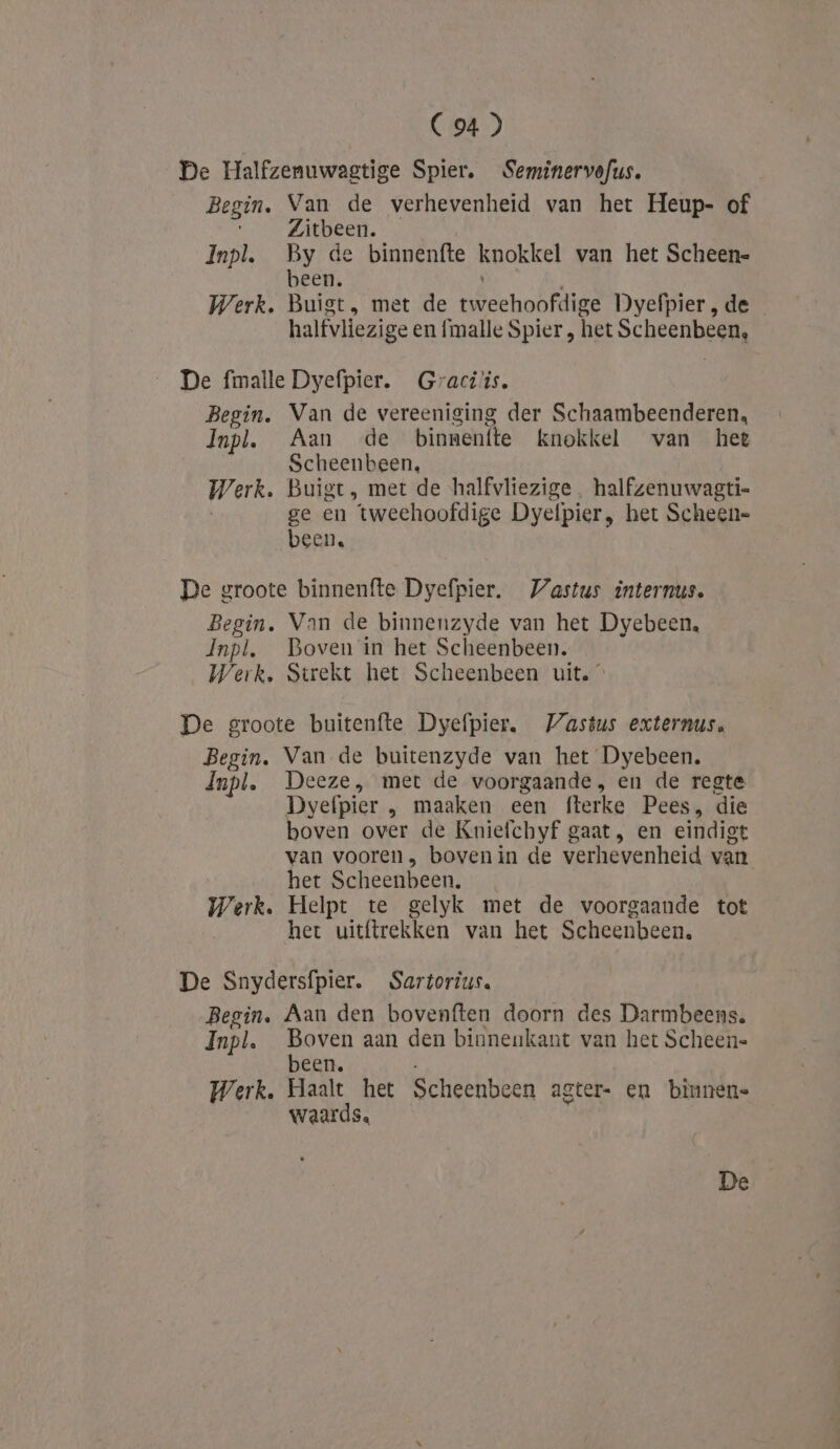 De Halfzenuwagtige Spier. Seminervofus. Begin. Van de verhevenheid van het Heup- of Zitbeen. Inpl. By de binnenfte knokkel van het Scheen= been. Werk. Buigt, met de tweehoofdige Dyefpier , de halfvliezige en fmalle Spier , het Scheenbeen, De fmalle Dyefpier. Graci'is. Begin. Van de vereeniging der Schaambeenderen, Jnpl. Aan de binnenfte knokkel van hee Scheenbeen, Werk. Buigt, met de halfvliezige. halfzenuwagti- ge en tweehoofdige Dyelpier, het Scheen= been. De groote binnenfte Dyefpier. WVastus internus. Begin. Van de binnenzyde van het Dyebeen. Jnpl, Boven in het Scheenbeen. Werk, Strekt het Scheenbeen uit. De groote buitenfte Dyefpier. Wastus externus. Begin. Van de buitenzyde van het Dyebeen. Jnpl. Deeze, met de voorgaande, en de regte Dyefpier , maaken een fterke Pees, die boven over de Kniefchyf gaat, en eindigt van vooren, bovenin de verhevenheid van het Scheenbeen. Werk. Helpt te gelyk met de voorgaande tot het uitftrekken van het Scheenbeen, De Snydersfpier. Sartorius. Begin. Aan den bovenften doorn des Darmbeens. Inpl. Boven aan den binnenkant van het Scheen- been. Werk. Haalt het Scheenbeen agter en binnene waards.