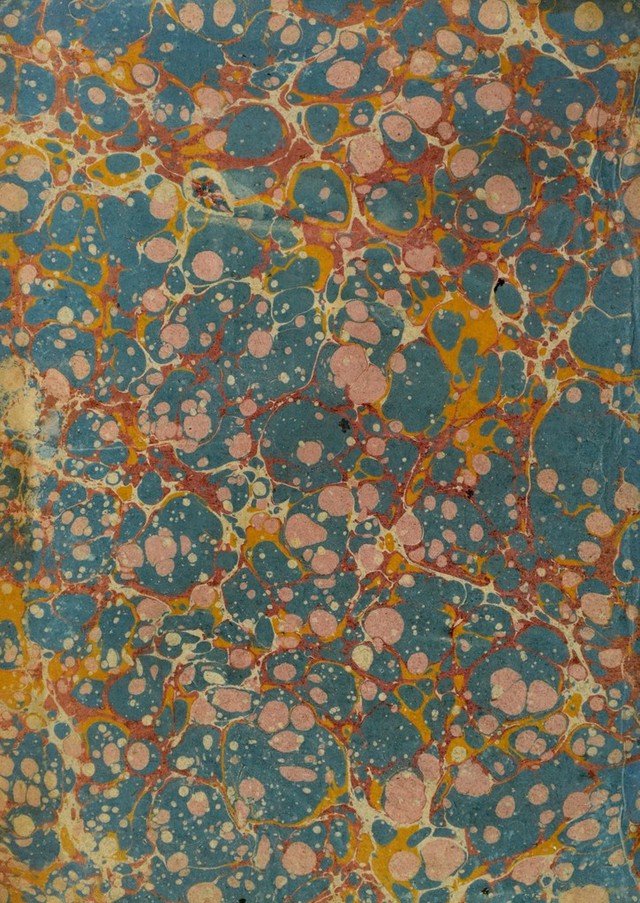 No text description is available for this image