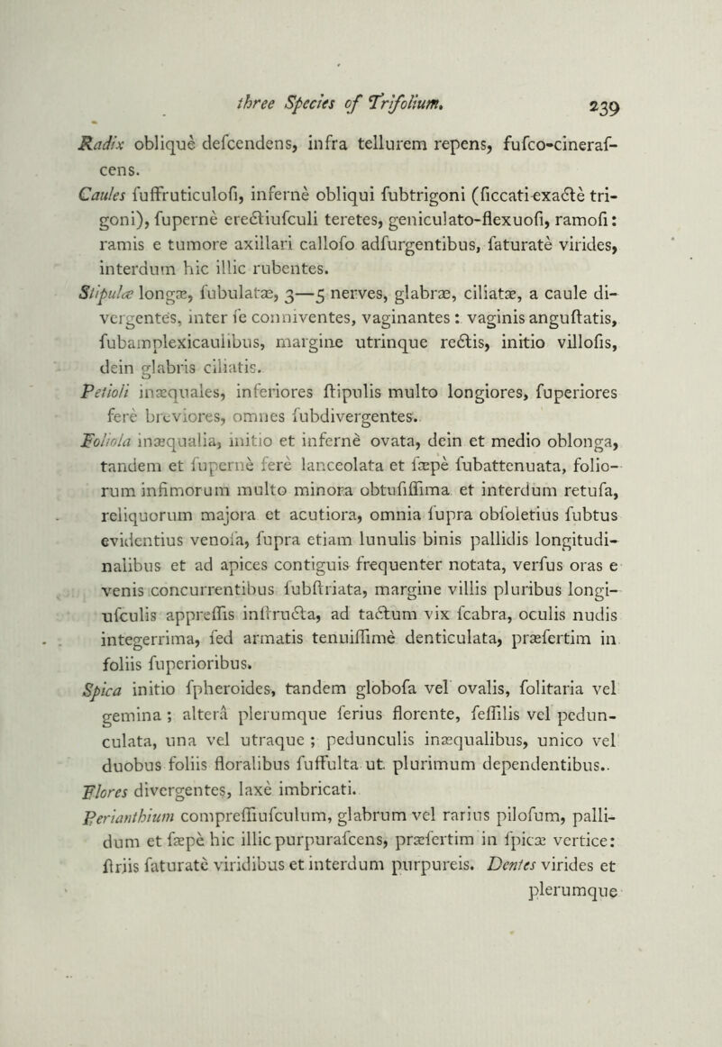 Radix oblique defcendens, infra tellurem repens, fufco-cineraf- cens. Caules fuffruticulofi, inferne obliqui fubtrigoni (ficcati^xa&e tri- goni), fuperne eredtiufculi teretes, geniculato-flexuofi, ramofi: ramis e tumore axiilari callofo adfurgentibus, faturate virides, interdum hie illic rubentes. Stipulec longae, fubulatae, 3—5 nerves, glabrae, ciliatae, a caule di- vergente's, inter fe conniventes, vaginantes : vaginis anguftatis, fubamplexicauiibus, margine utrinque redlis, initio villofis, dein glabris ciliatis. Petioli inasqnales, inferiores ftipulis multo longiores, fuperiores fere breviores, omnes fubdivergentes. Fo/iola inaaqualia, initio et inferne ovata, dein et medio oblonga, tandem et fuperne rere lanceolata et laepe fubattenuata, folio- rum inhmorum multo minora obtufiffima et interdum retufa, reliquorum majora et acutiora, omnia lupra obfoletius fubtus evidentius venoia, fupra etiam lunulis binis pallidis longitudi- naiibus et ad apices contiguis frequenter notata, verfus oras e venis concurrentibus fubftriata, margine villis pluribus longi- ufculis appreflis infrrudla, ad tadlum vix fcabra, oculis nudis integerrima, fed armatis tenuiffime denticulata, praefertim in foliis fuperioribus, Spica initio fpheroides, tandem globofa vel ovalis, folitaria vel gemina ; altera plerumque ferius florente, feffilis vel pedun- culata, una vel utraque ; pedunculis inasqualibus, unico vel duobus foliis floralibus fnffulta ut. plurimum dependentibus.. Flores divergentes, laxe imbricati. Perianthium compreffiufculum, glabrum vel rarius pilofum, palli- dum et faepe hie illicpurpurafeens, praefertim in fpicae vertice: ftriis faturate viridibus et interdum purpureis. Dentes virides et plerumque