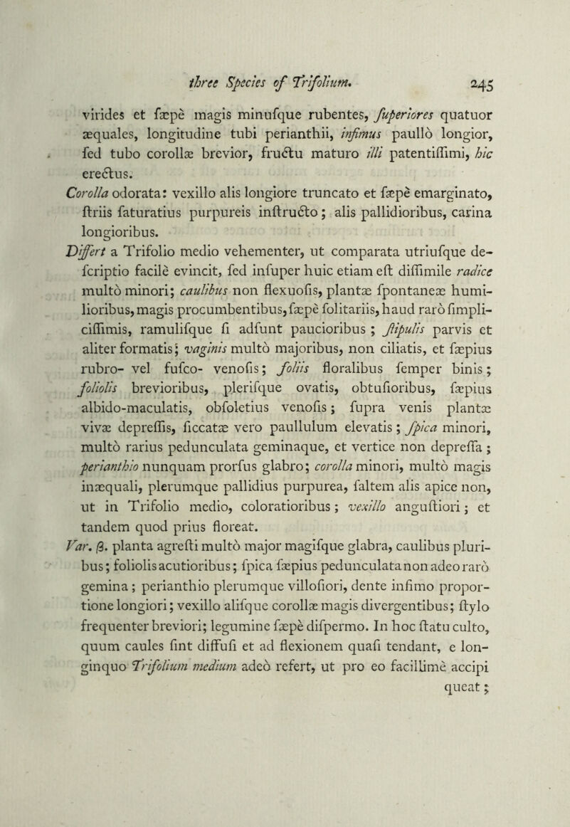 virides et faspe magis minufque rubentes, fuperiores quatuor aequales, longitudine tubi perianthii, infimus paullo longior, fed tubo corollas brevior, fru<5tu maturo illi patentiftimi, hie eredtus. Corolla odorata: vexillo alis longiore truncato et fsepe emarginato, ftriis faturatius purpureis inftrudto; alis pallidioribus, carina longioribus. 'Differt a Trifolio medio vehementer, ut comparata utriufque de- feriptio facile evincit, fed infuper huic etiam eft diftimile raclice multo minori; caulibus non flexuofis, plants fpontaneas humi- lioribus, magis procumbentibus,faepe folitariis,haud rarofimpli- ciftimis, ramulifque ft adfunt paucioribus ; Jiipulis parvis et aliter formatis; vaginis multo majoribus, non ciliatis, et faspius rubro- vel fufeo- venofis; foliis floralibus femper binis; foliolis brevioribus, p.lerifque ovatis, obtufioribus, fsepius albido-maculatis, obfoletius venofis; fupra venis plants vivas depreffis, ficcatae vero paullulum elevatis; fpica minori, multo rarius pedunculata geminaque, et vertice non deprefta ; perianthio nunqnam prorfus glabro; corolla minori, multo magis inaequali, plerumque pallidius purpurea, faltem alis apice non, ut in Trifolio medio, coloratioribus; vexillo anguftiori j et tandem quod prius floreat. Var. (i. planta agrefti multo major maglfque glabra, caulibus pluri- bus; foliolis acutioribus; fpica faspius pedunculata non adeorarb gemina; perianthio plerumque villofiori, dente infimo propor- tione longiori; vexillo alifque corollas magis divergentibus; ftylo frequenter breviori; legumine faepe difpermo. In hoc ftatu culto, quum caules fint diffufi et ad flexionem quad tendant, e lon- ginquo ‘Trifolium medium adeo refert, ut pro eo facillime accipi queat my